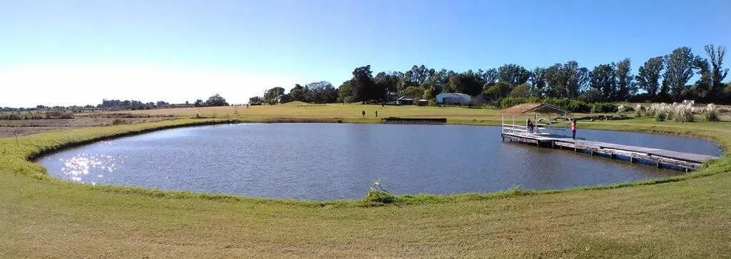 Campo & Golf
