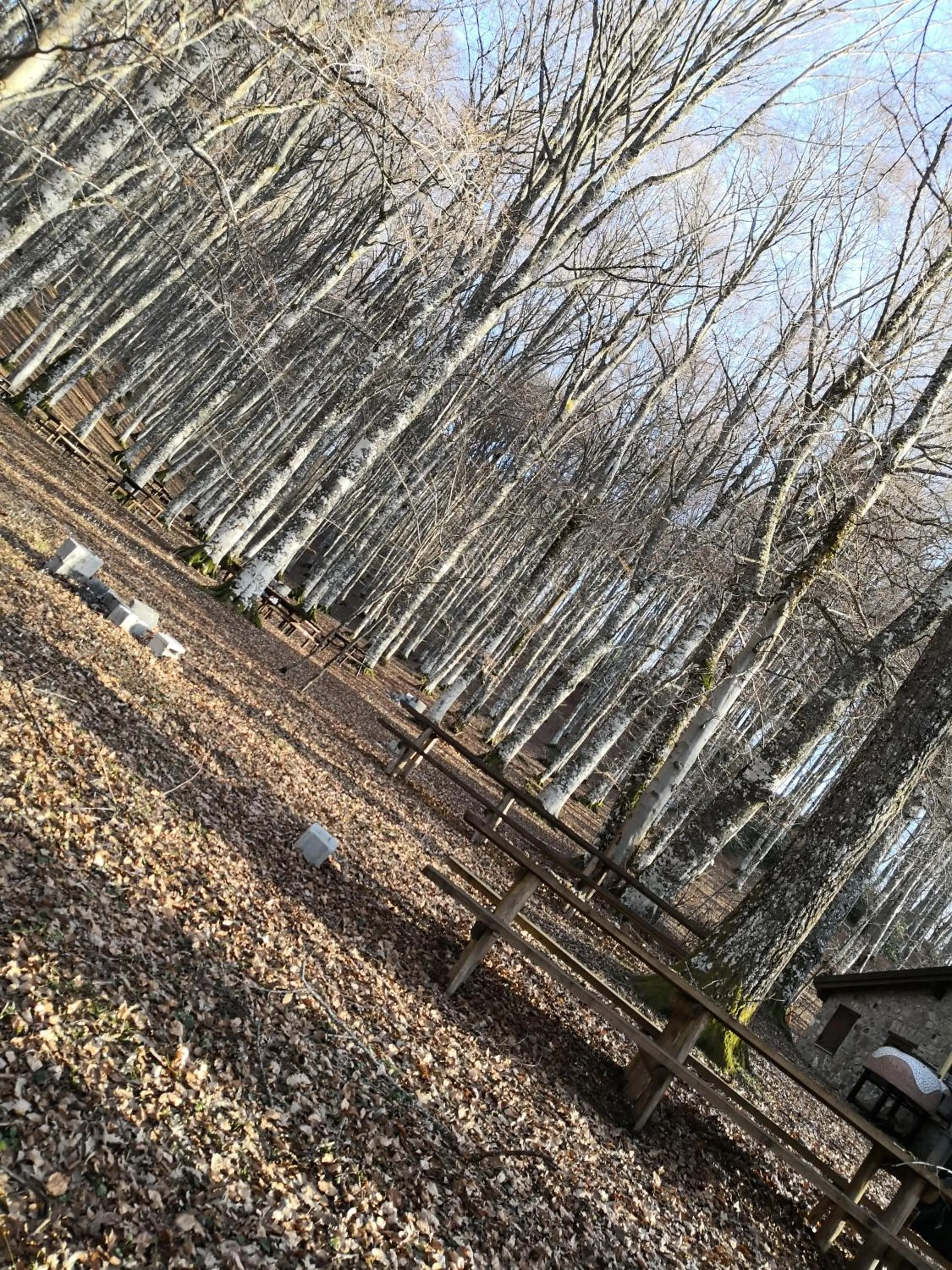 Il sasso bed & breakfast