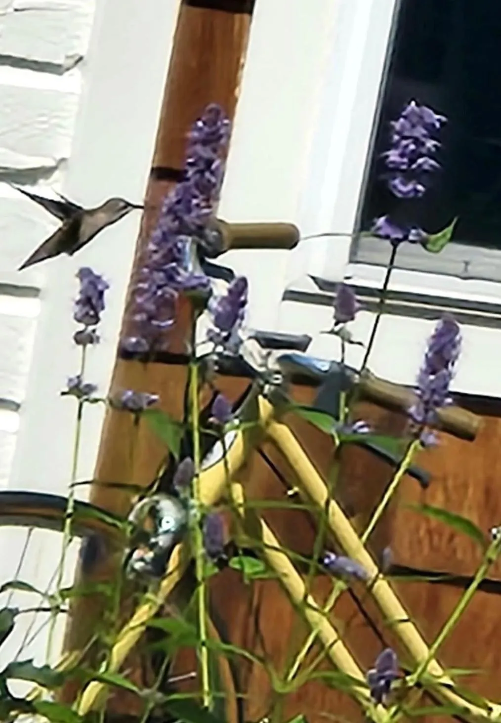 The Cottonwood Inn B&B