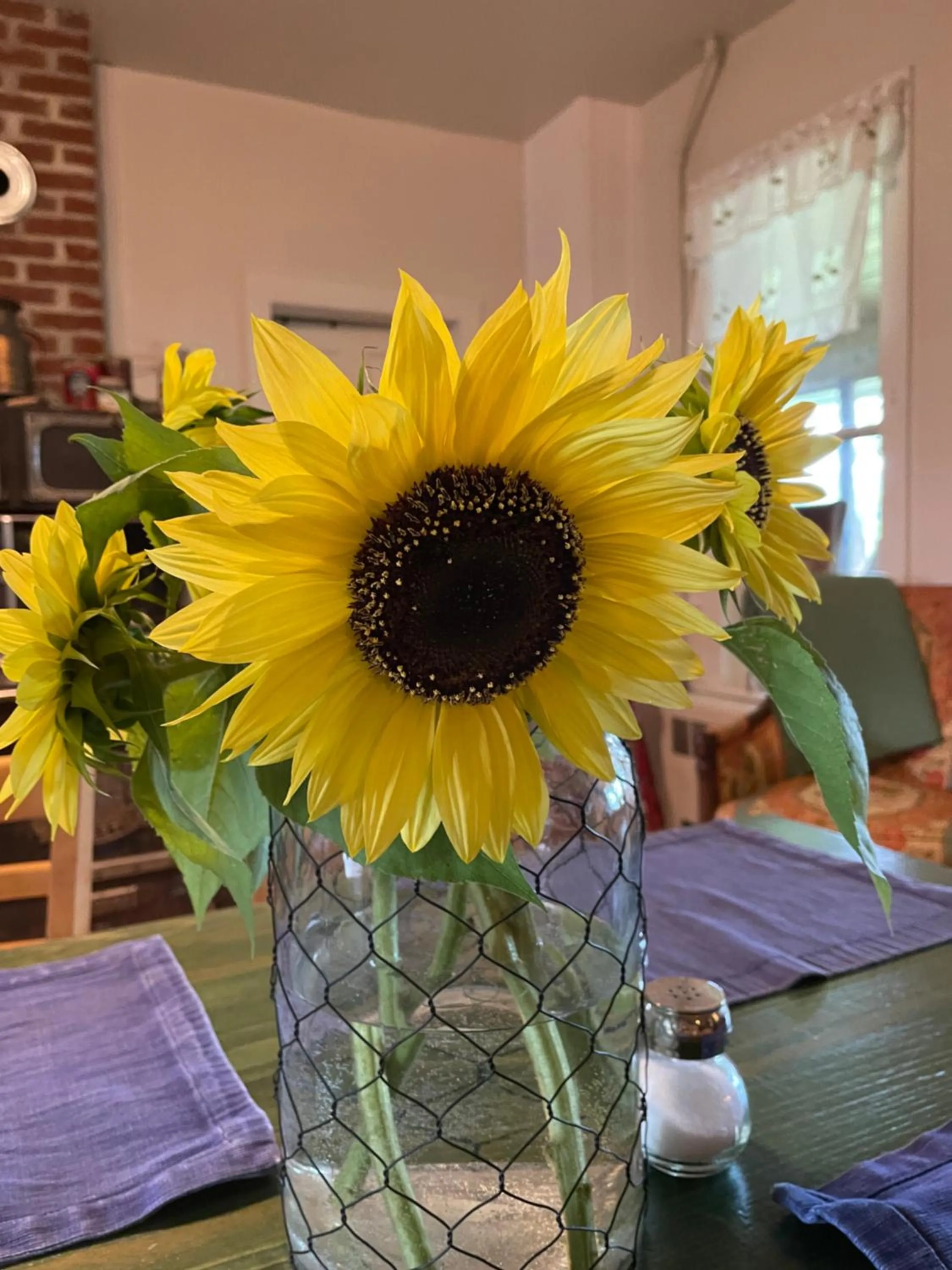 The Cottonwood Inn B&B