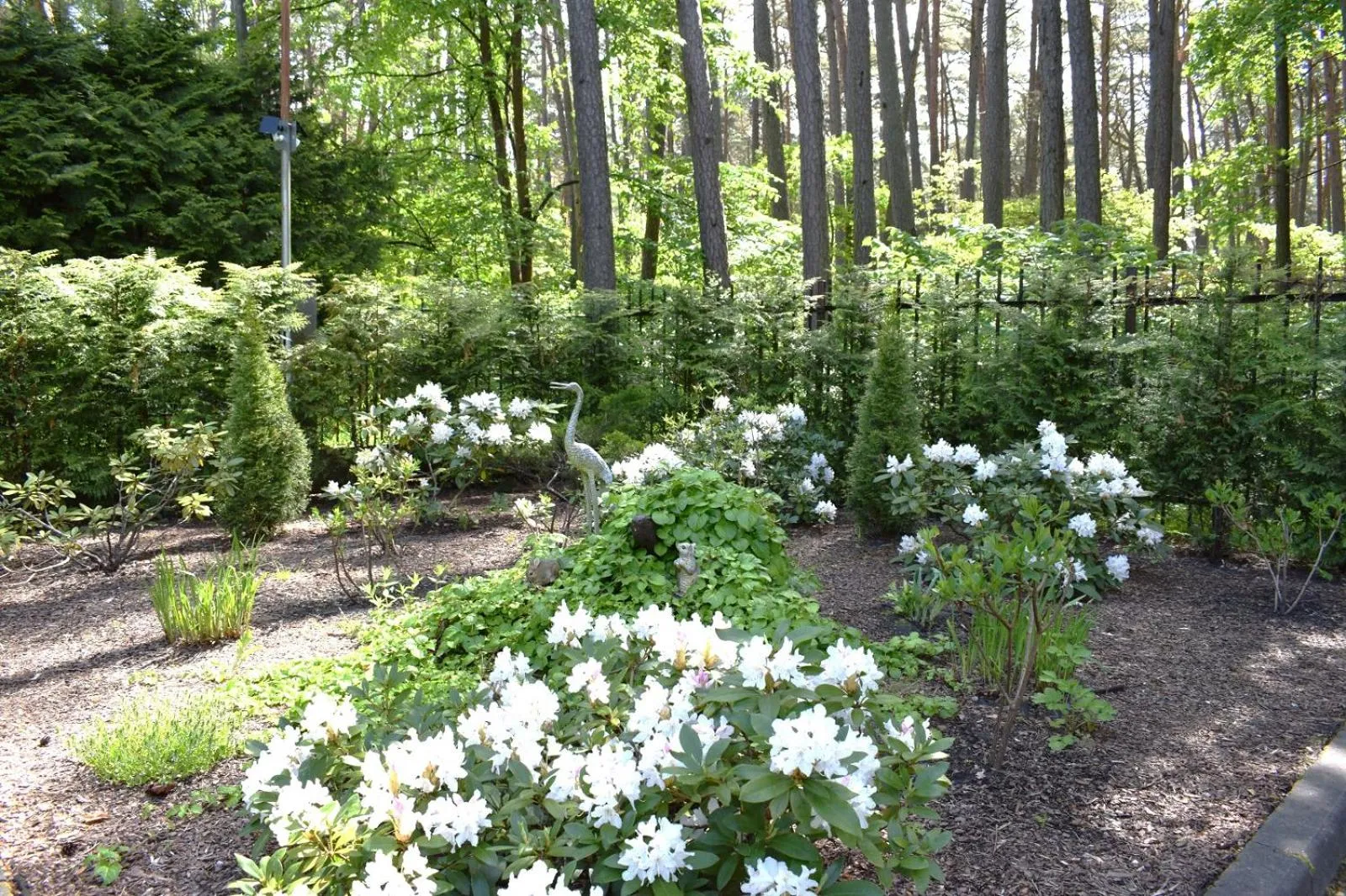 Area and facilities in Amber Sea Hotel & SPA