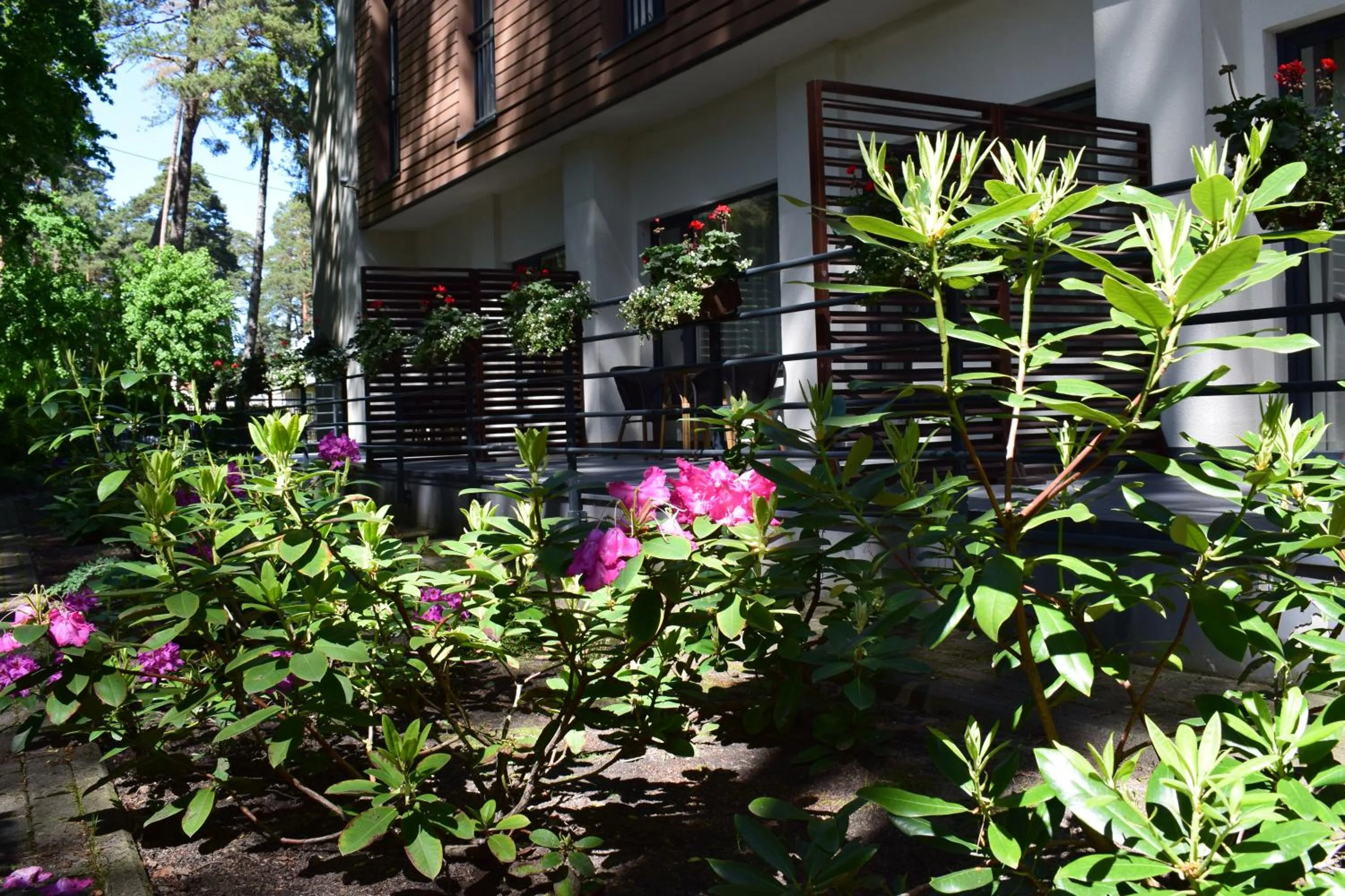 Balcony/Terrace in Amber Sea Hotel & SPA