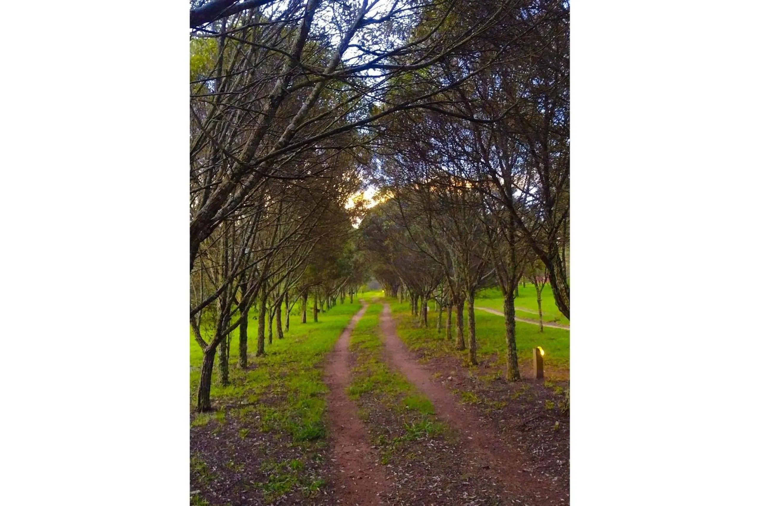 Area and facilities in Pousada Chalé Terra Viva