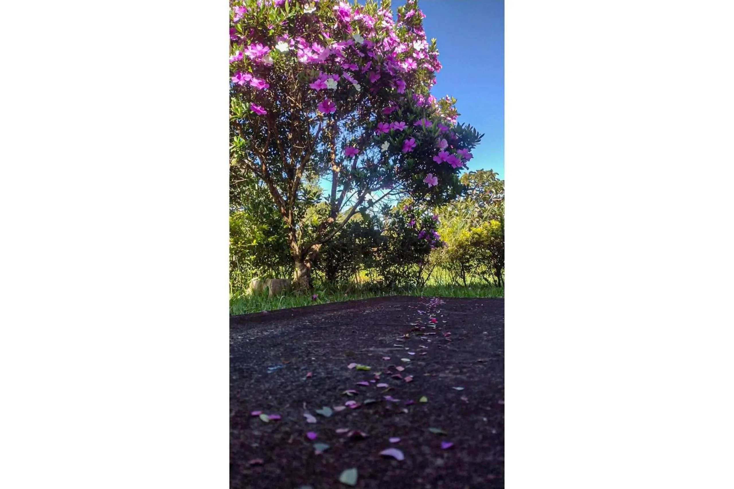 Area and facilities in Pousada Chalé Terra Viva