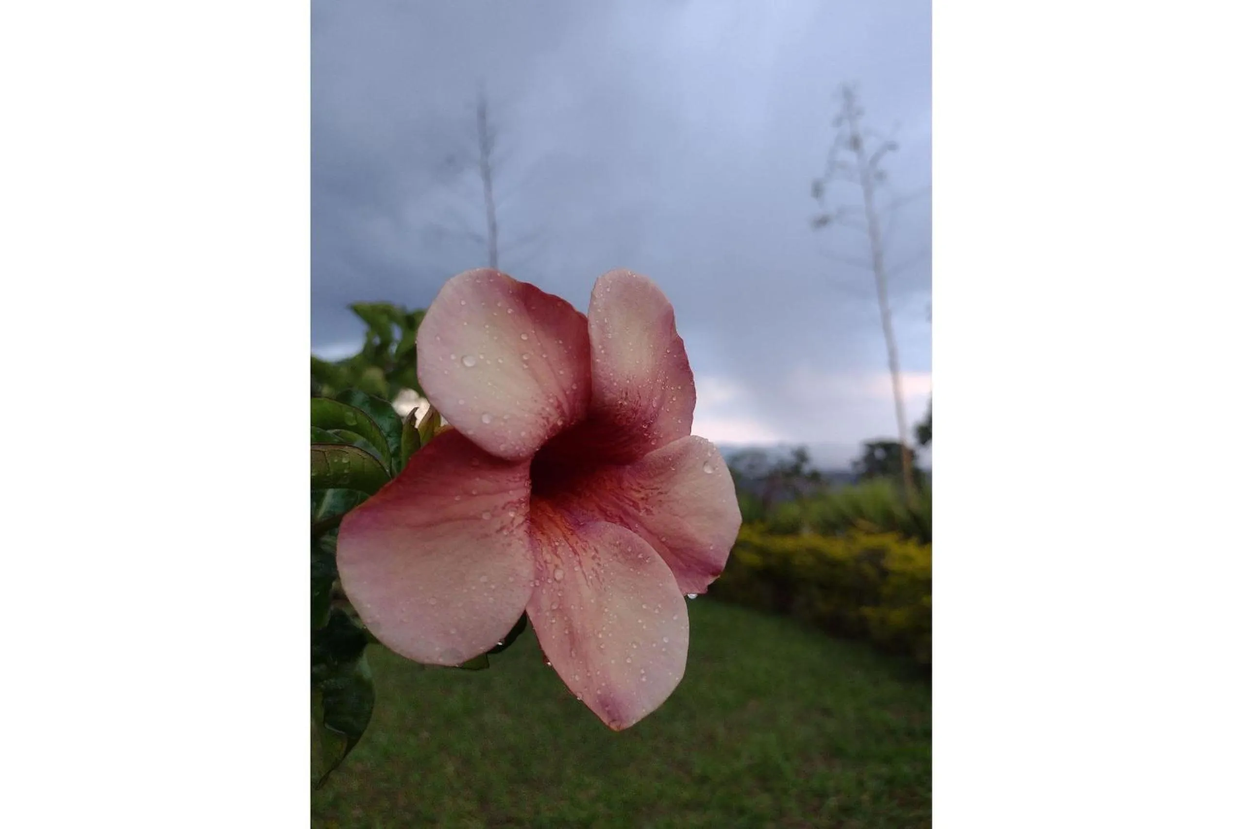 Area and facilities in Pousada Chalé Terra Viva