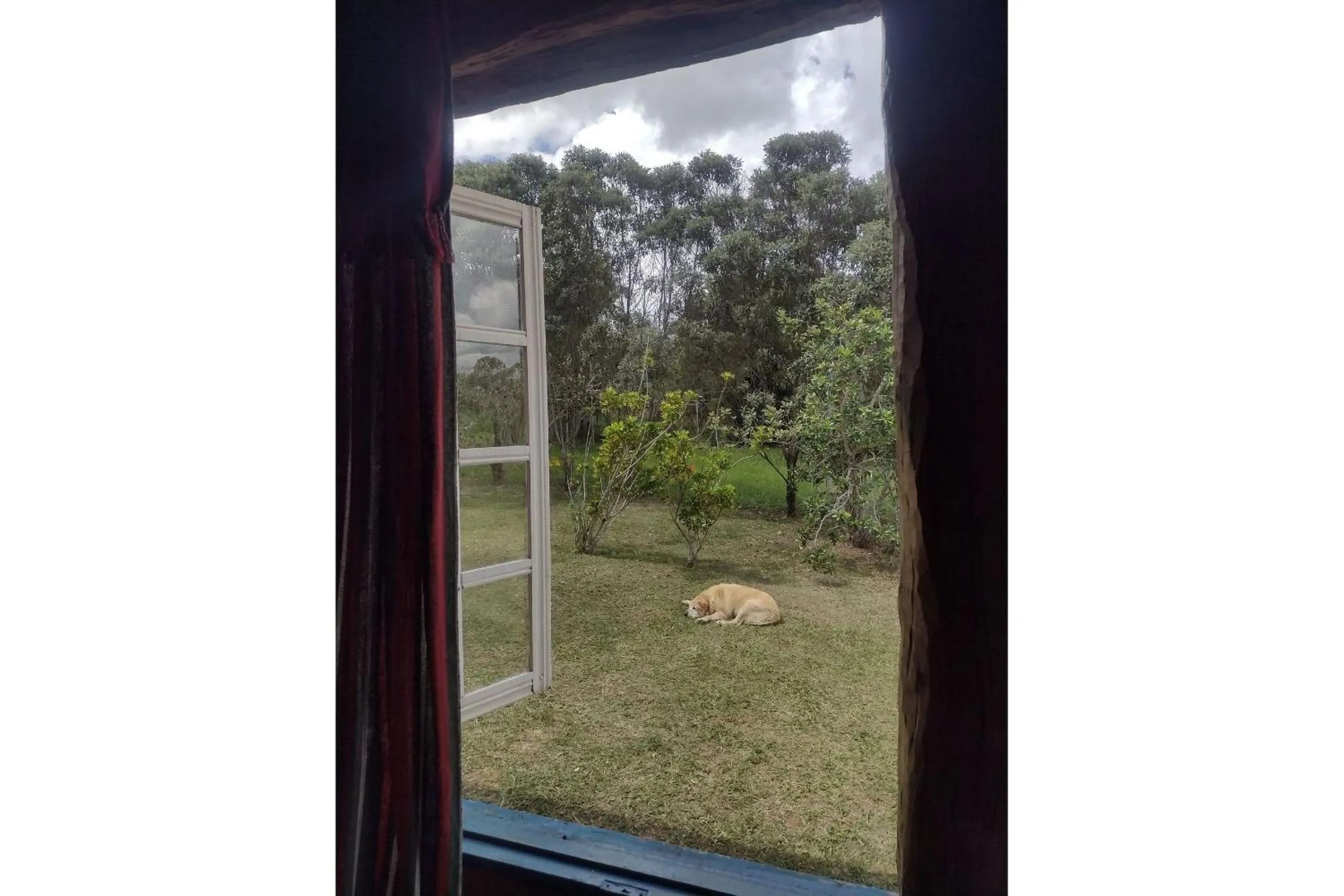 Area and facilities in Pousada Chalé Terra Viva