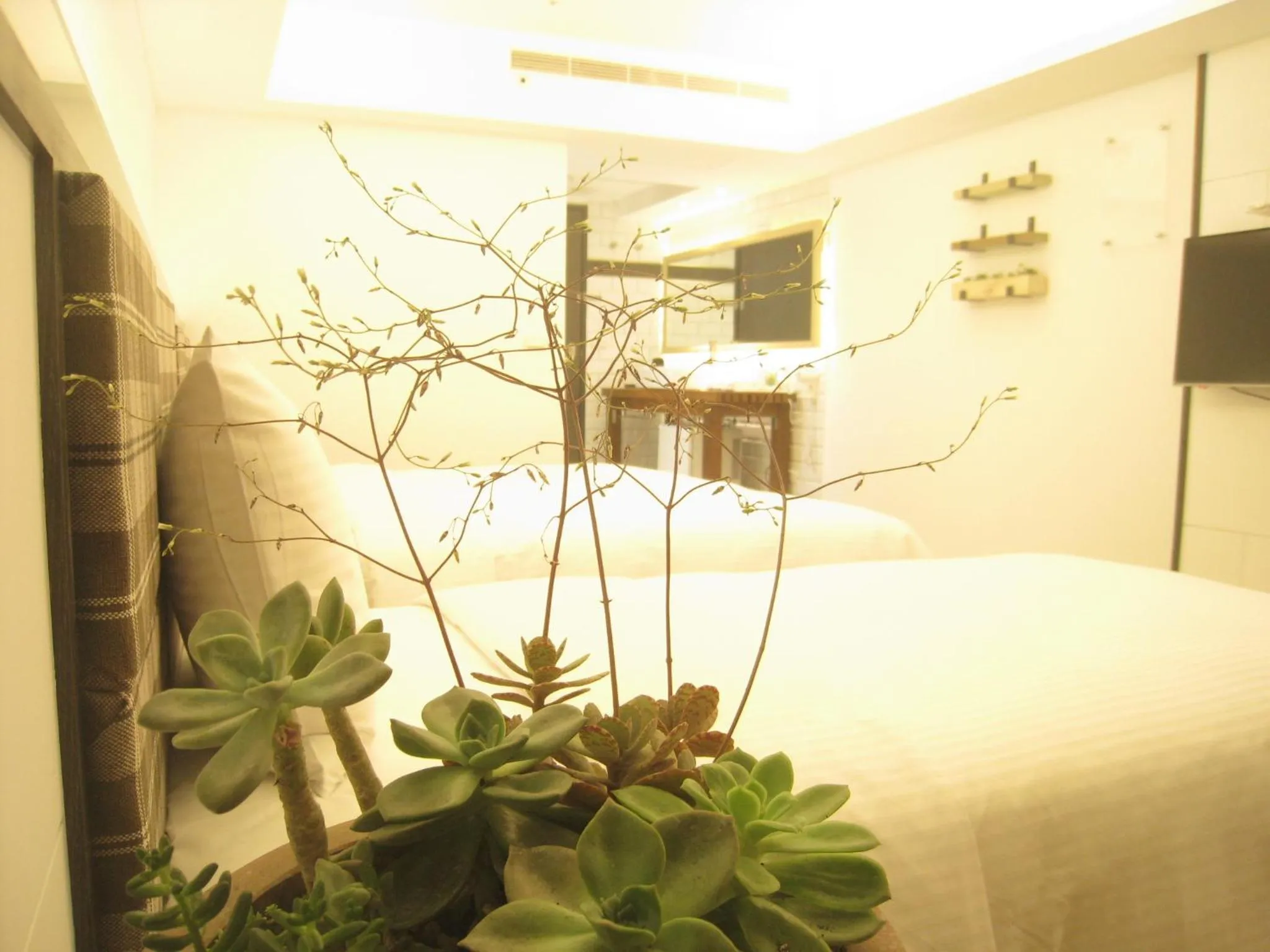 Formosa Boulerard Garden Hotel