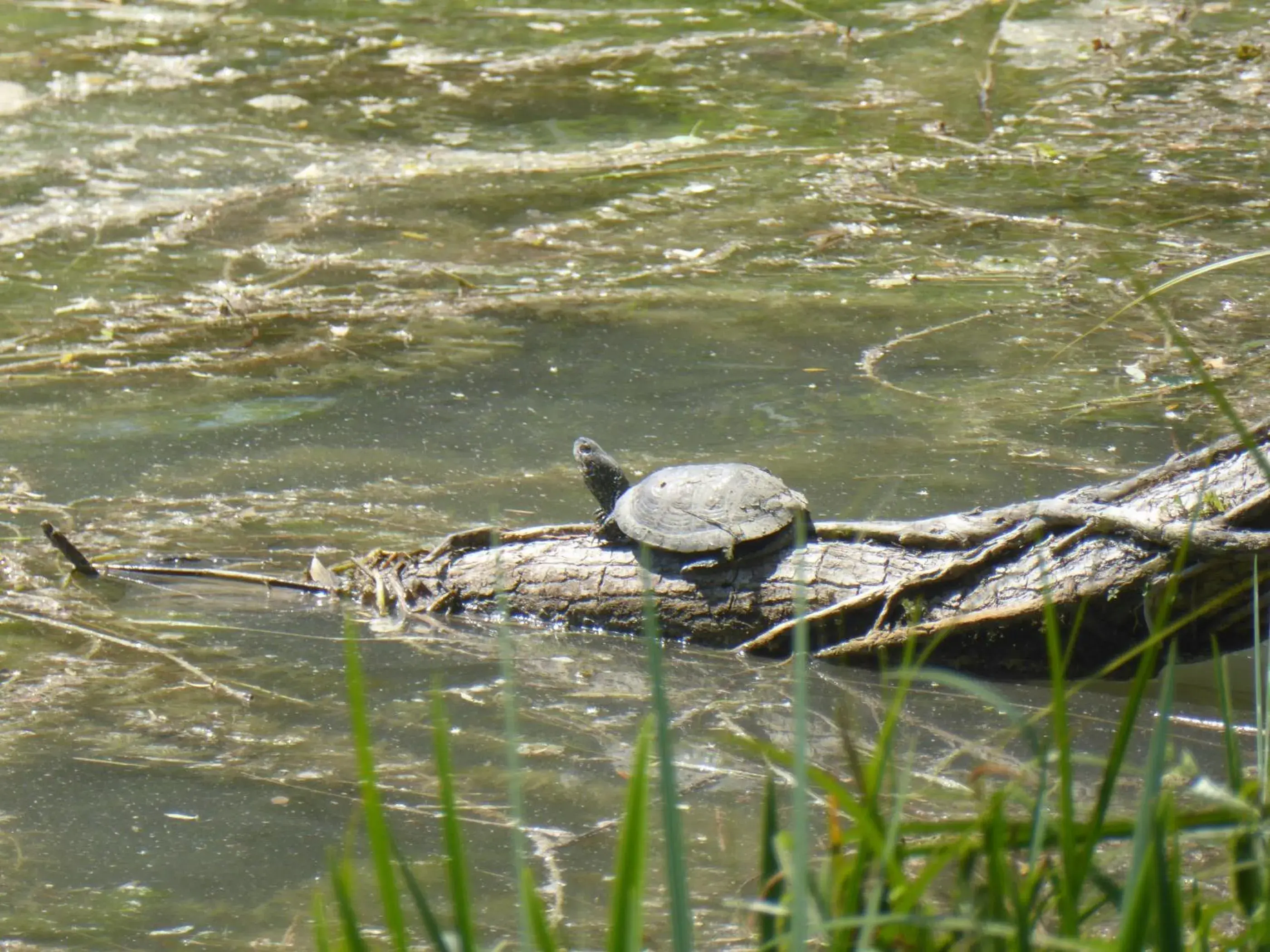 Lake view in Logis Hotels Domaine du Châtelard Lake view in Logis Hotels Domaine du Châtelard