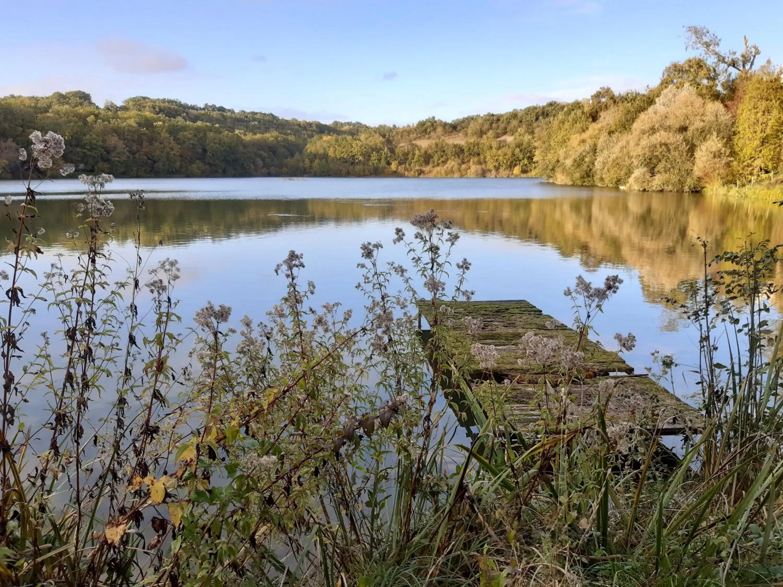 Garden view in Logis Hotels Domaine du Châtelard Garden view in Logis Hotels Domaine du Châtelard