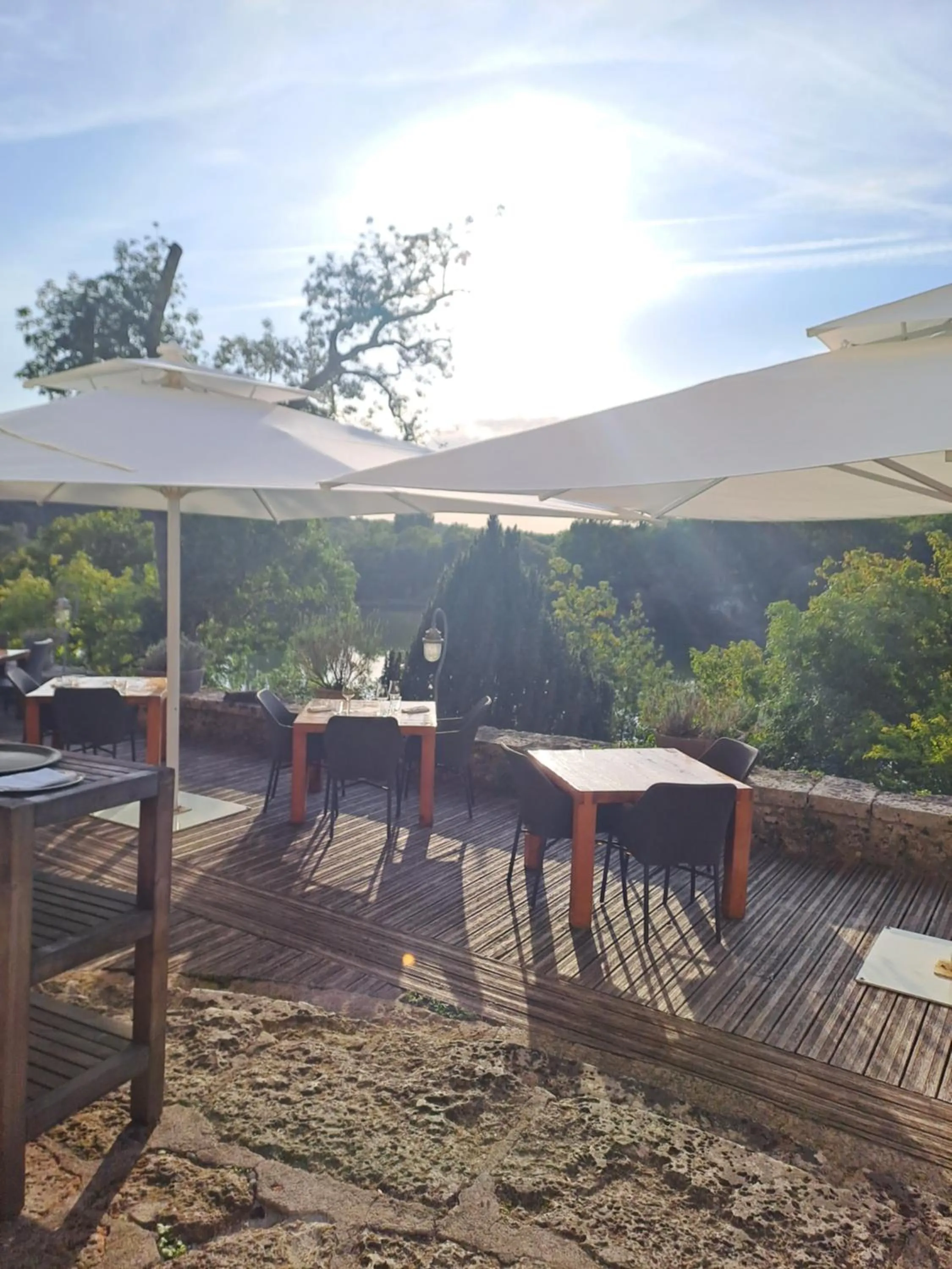 Restaurant/places to eat in Logis Hotels Domaine du Châtelard