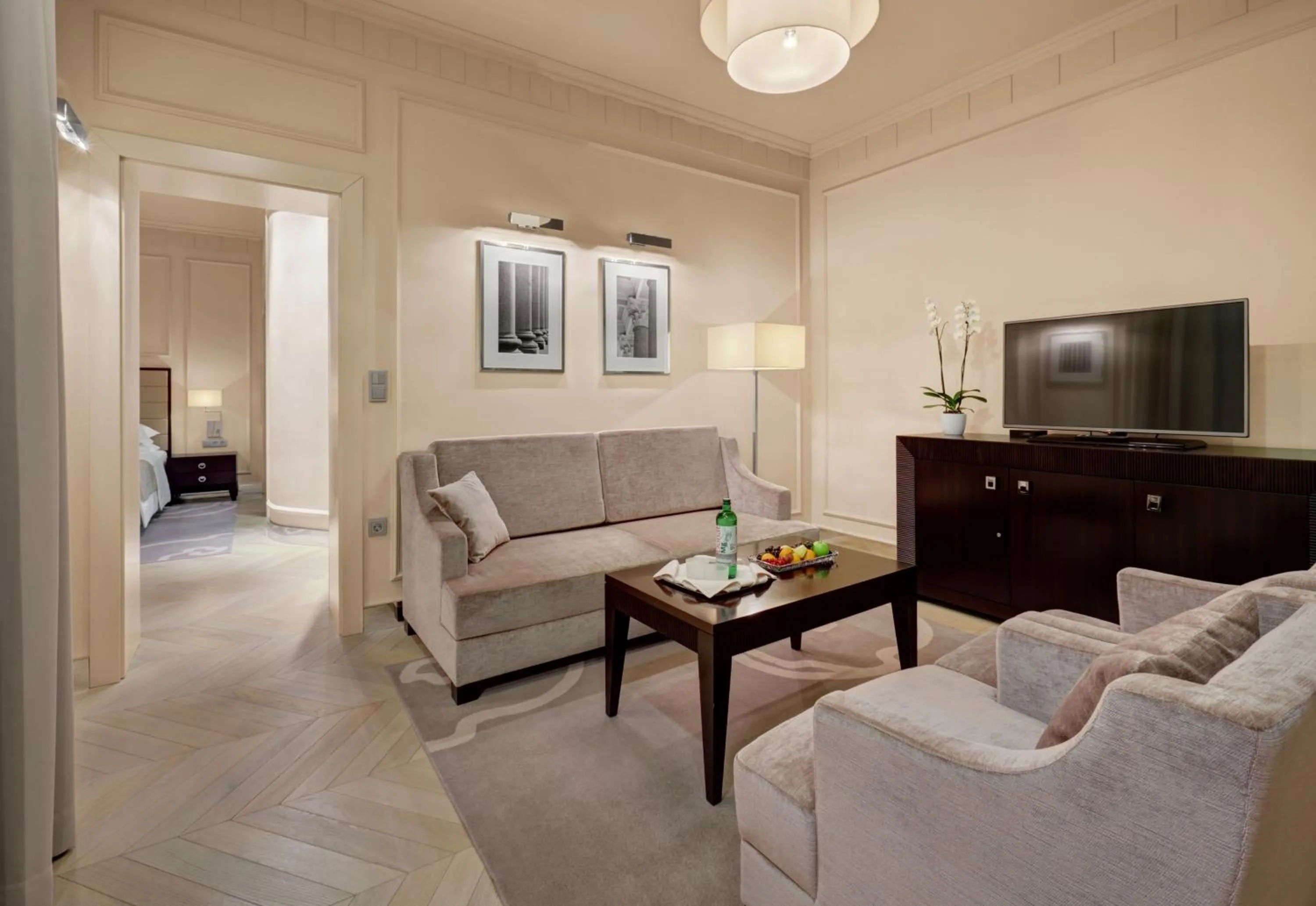 TV and multimedia in Hotel Aleksander Medical & SPA