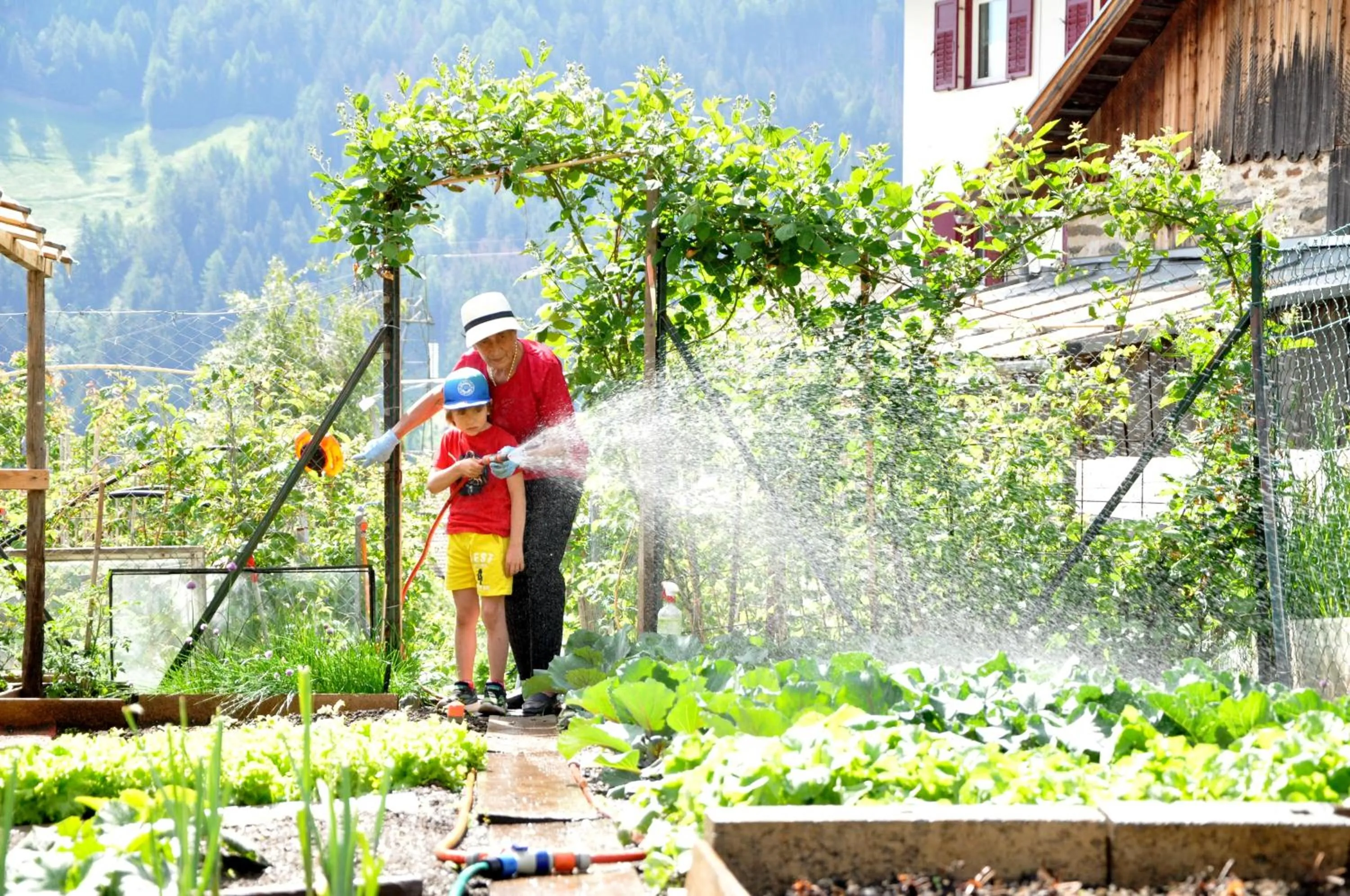 Garden in Hotel Traube - Stelvio