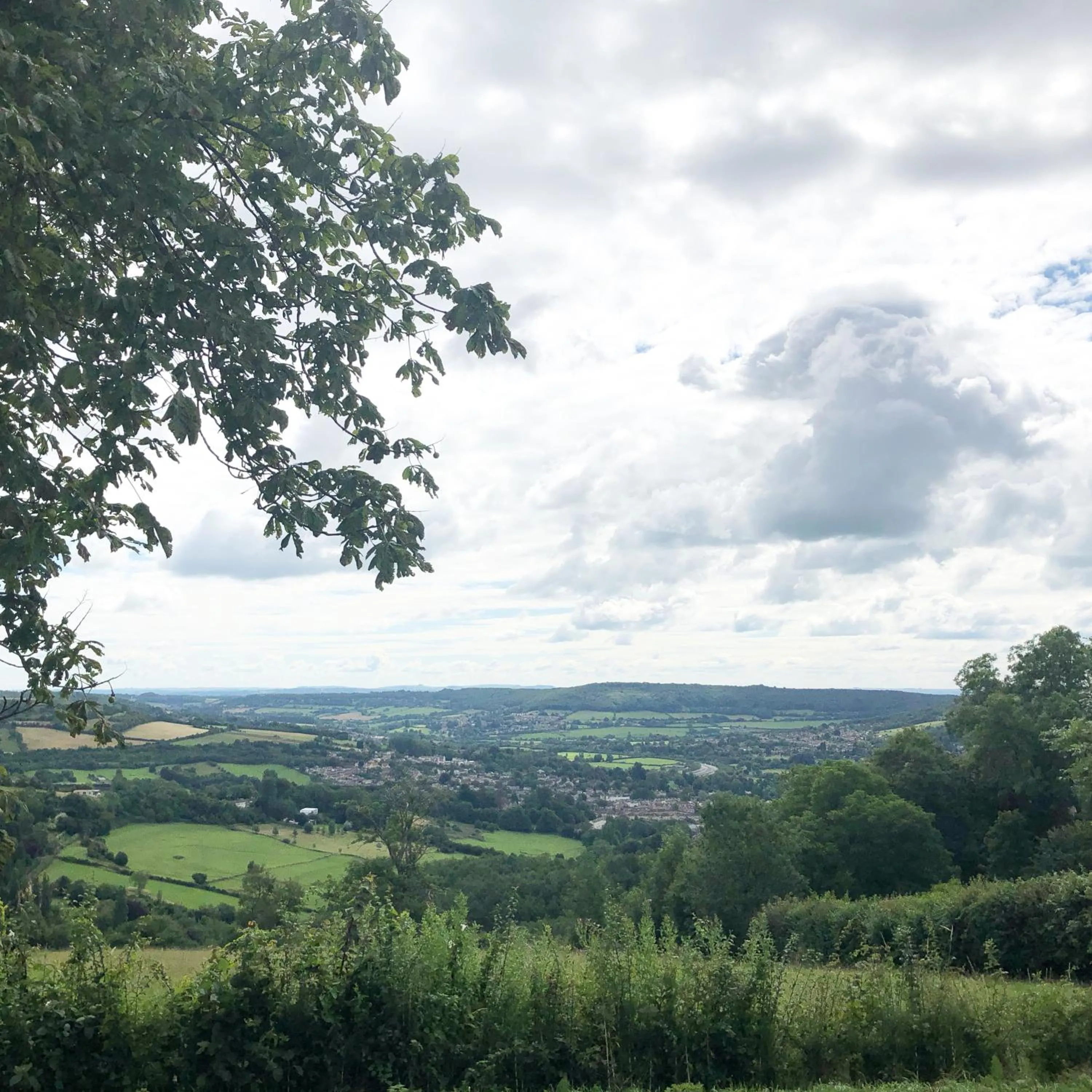 Natural landscape in Devonshire House