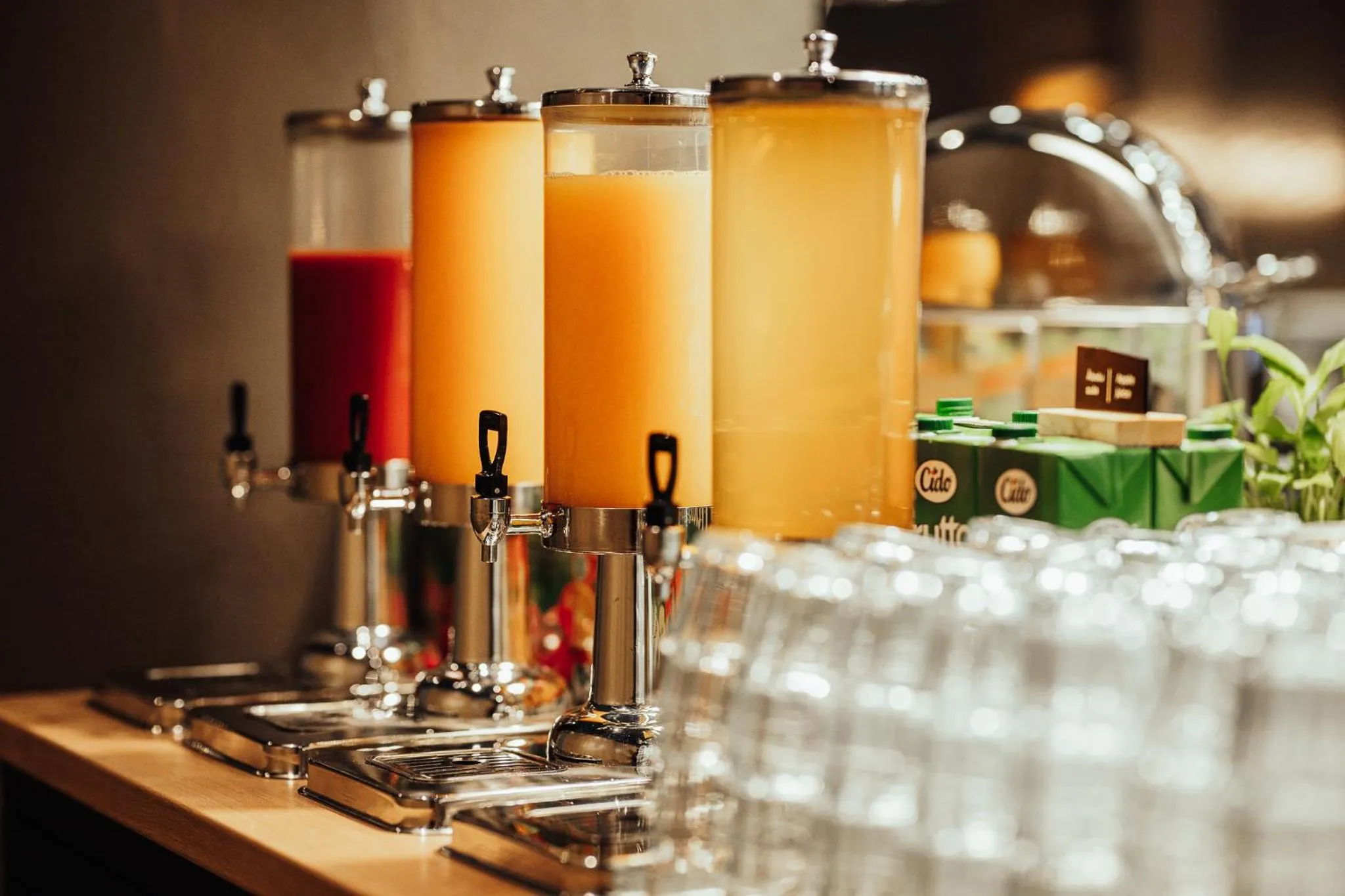 Food and drinks in Liva Hotel