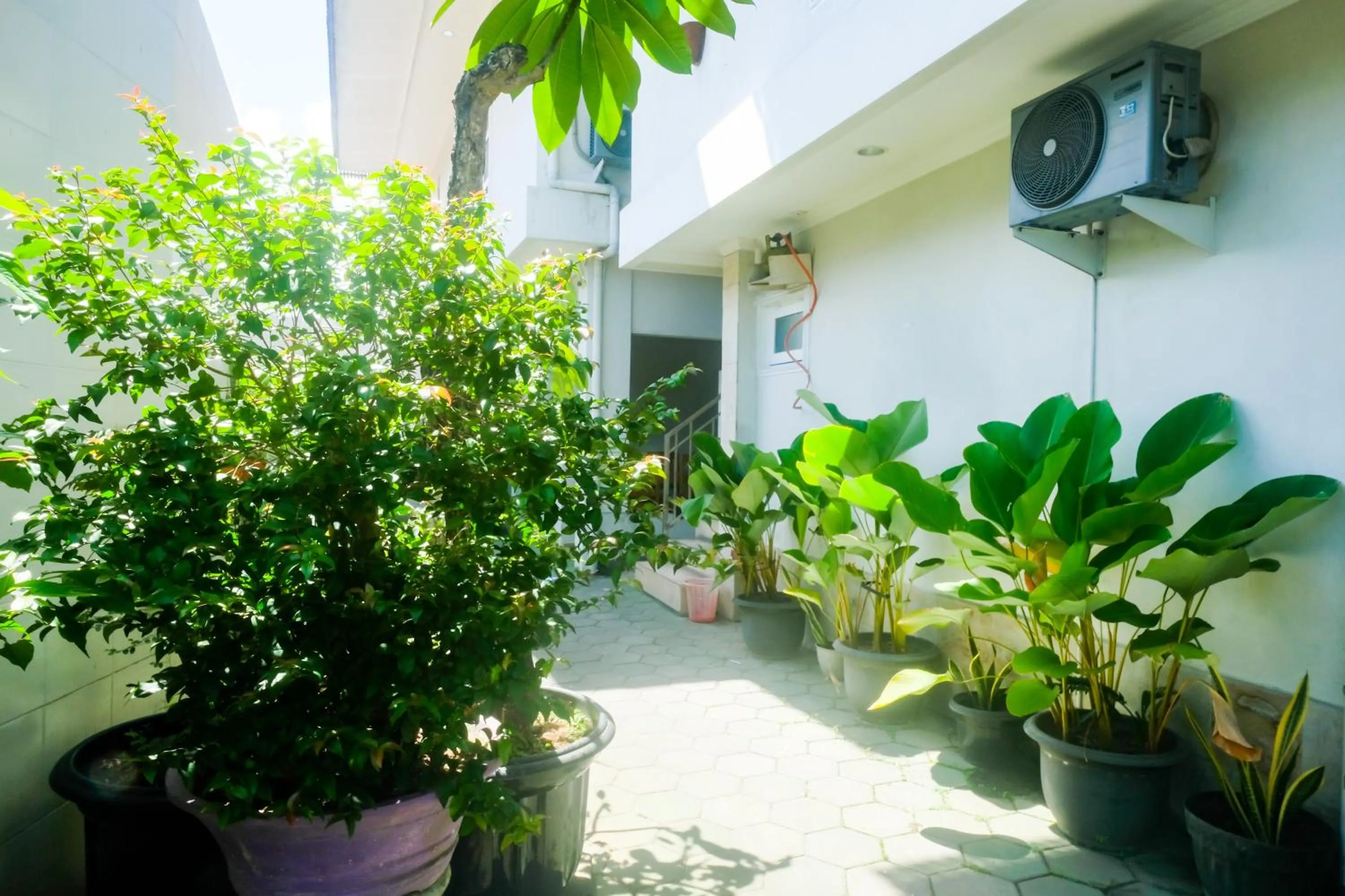 Garden in RedDoorz Plus near Adisucipto Airport 2