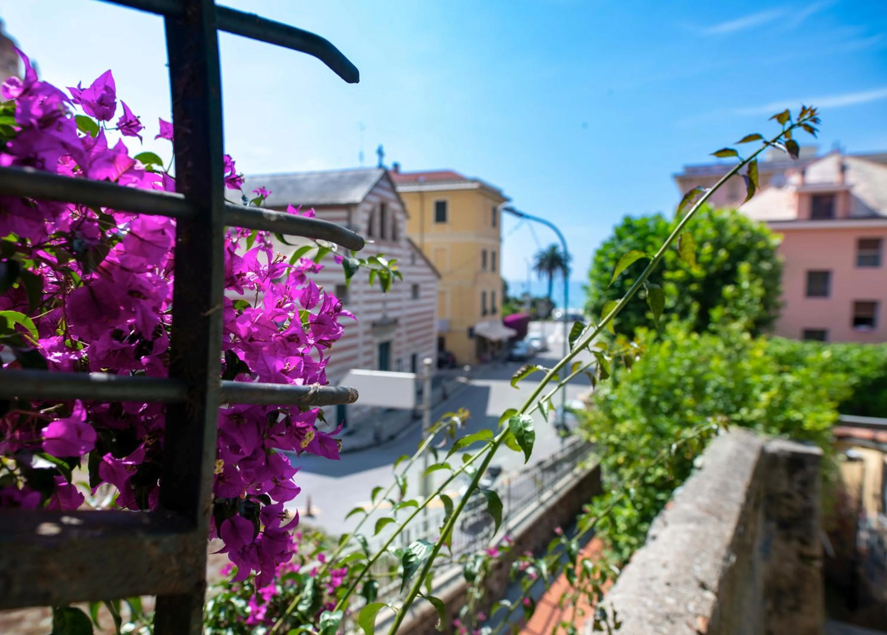 Neighbourhood in Hotel Miranda