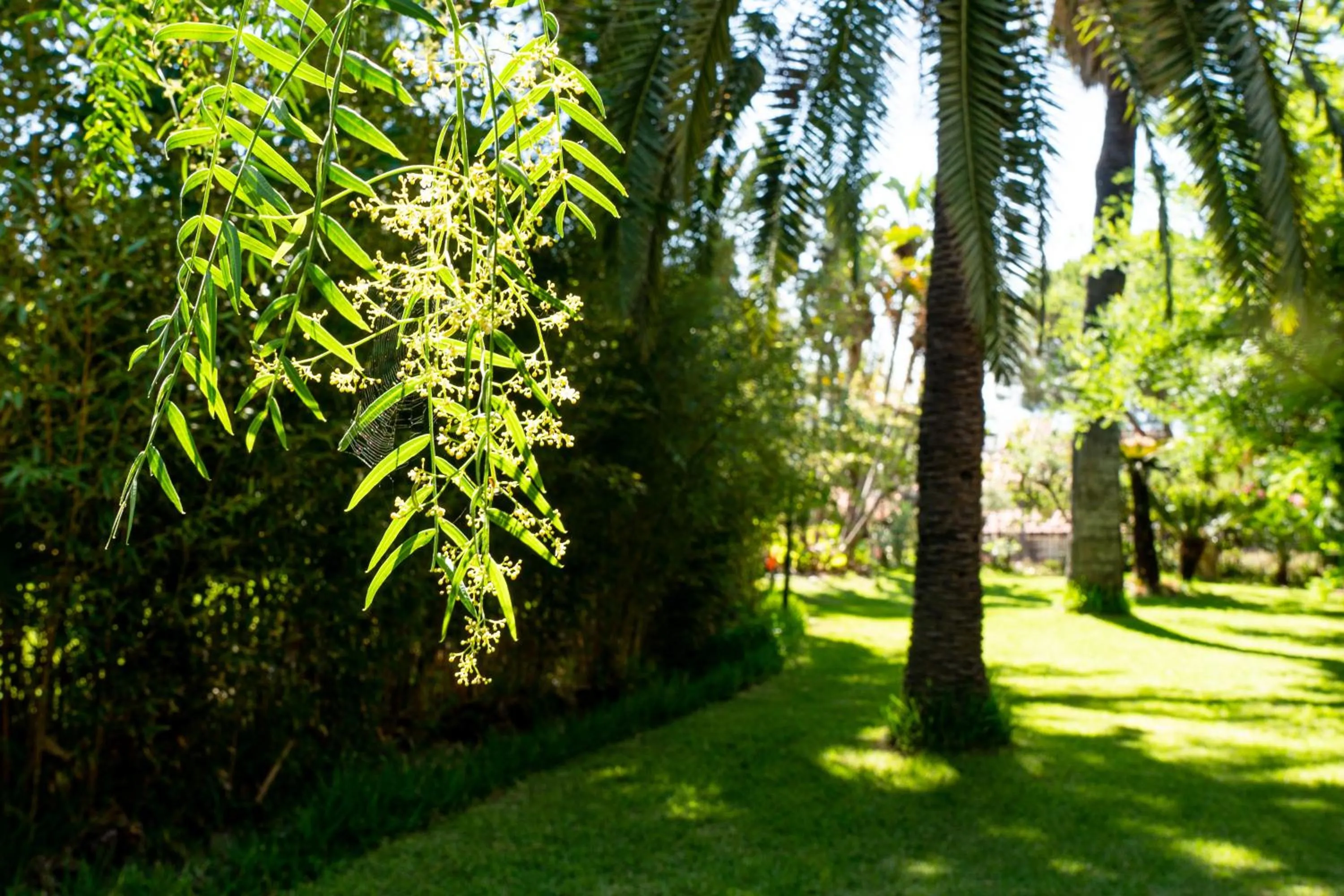 Villa dei Marchesi Carrozza