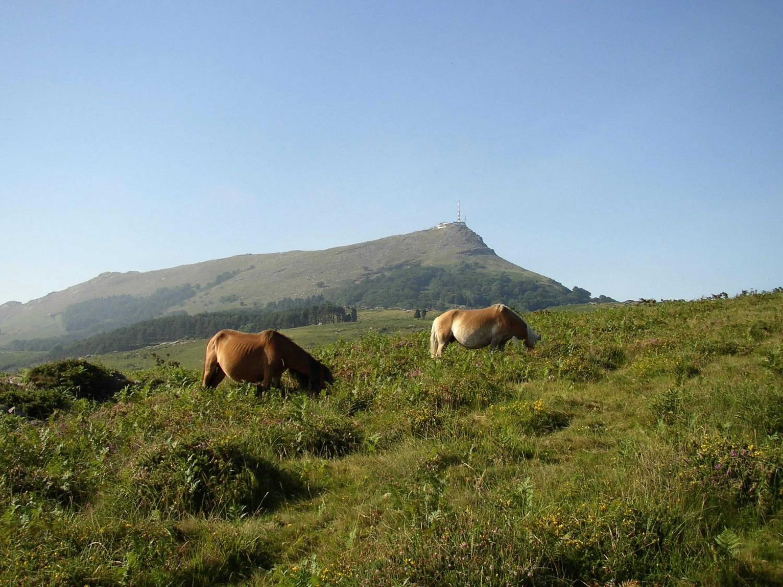 Area and facilities in Logis Hotel & Restaurant Bergeret Sport
