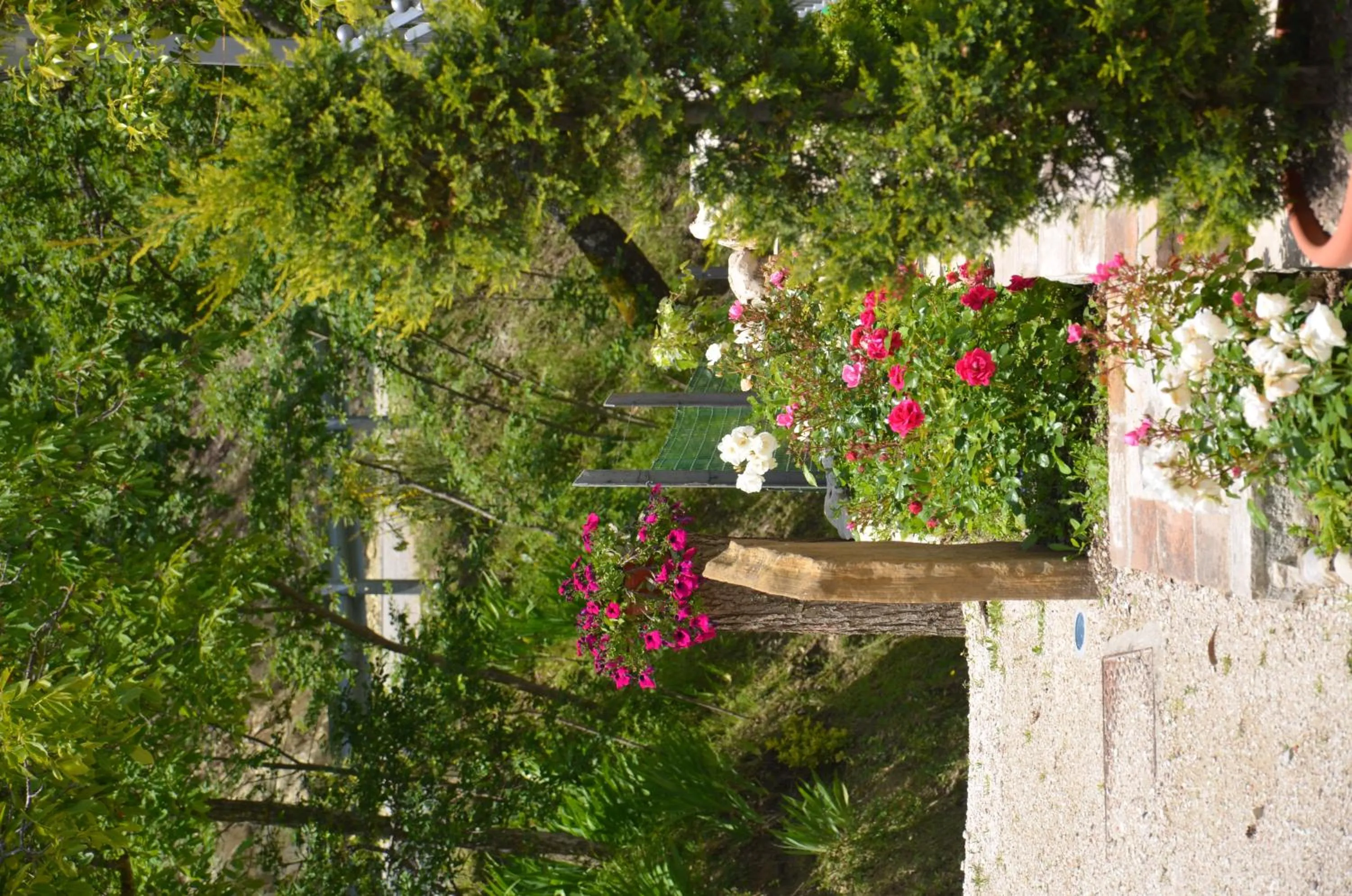 Natural landscape in B&B La Terrazza Del Subasio