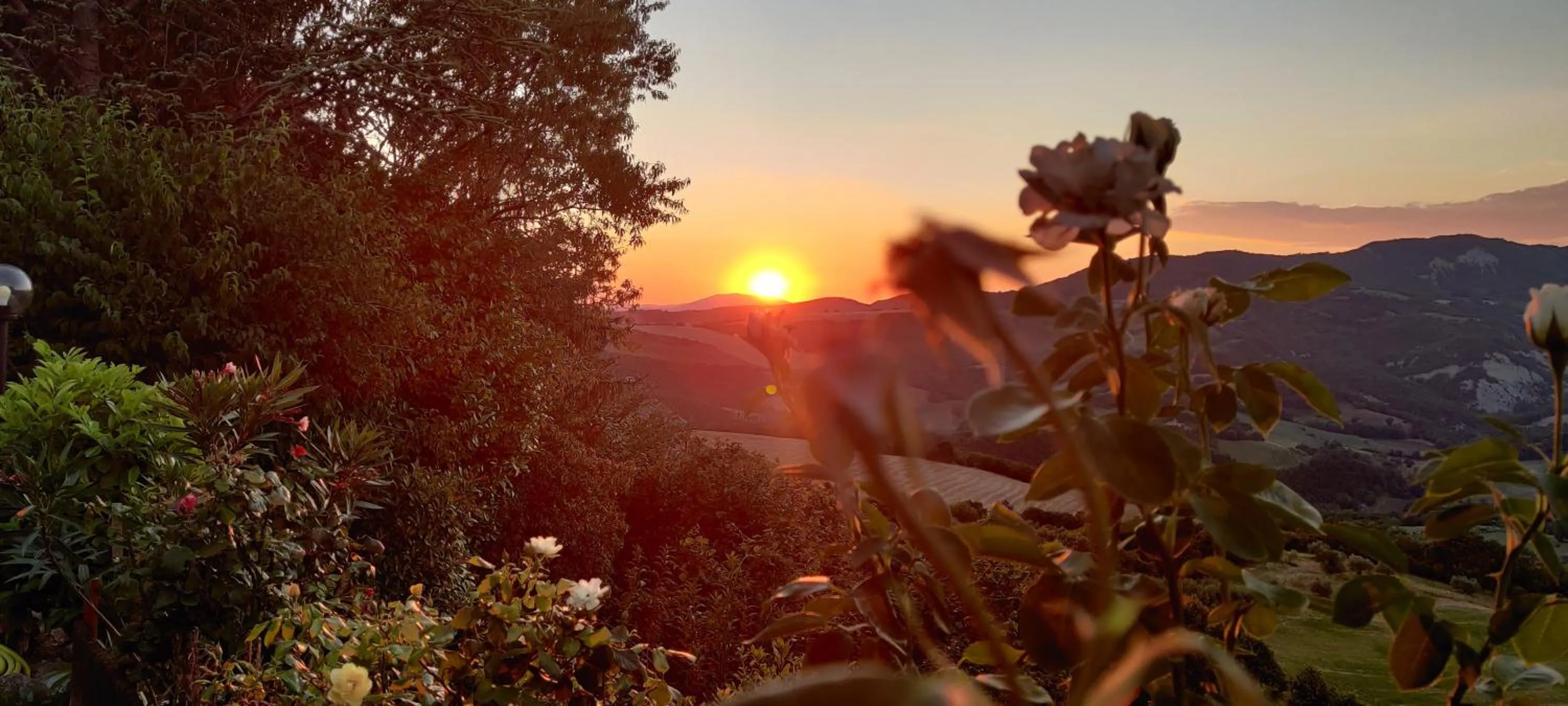 B&B La Terrazza Del Subasio