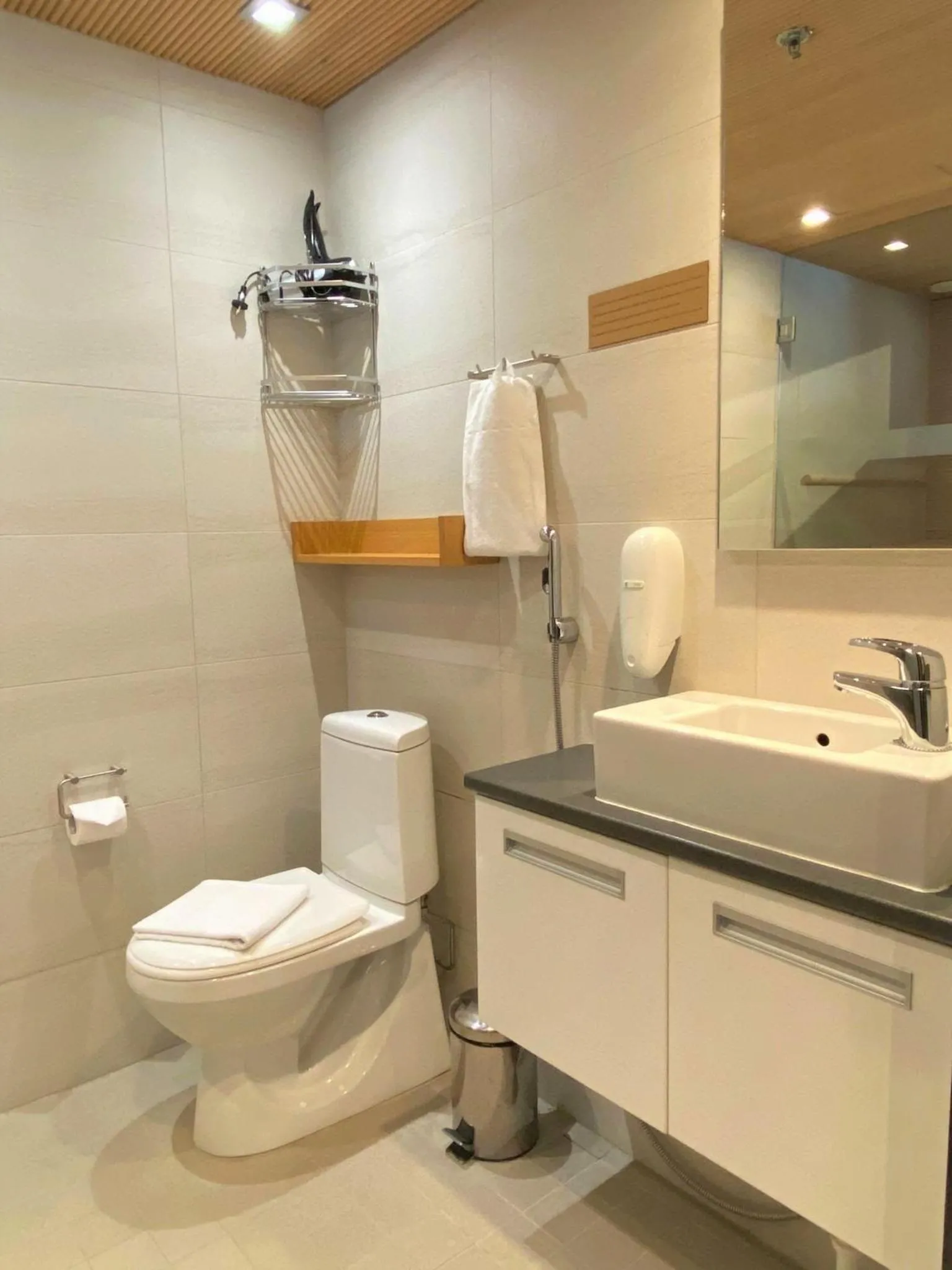 Toilet in Levi Suites Levi Gold
