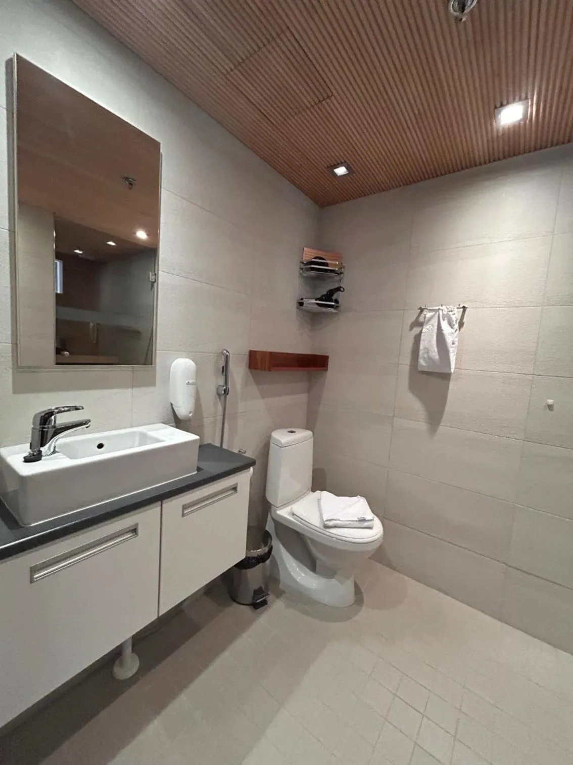 Toilet in Levi Suites Levi Gold