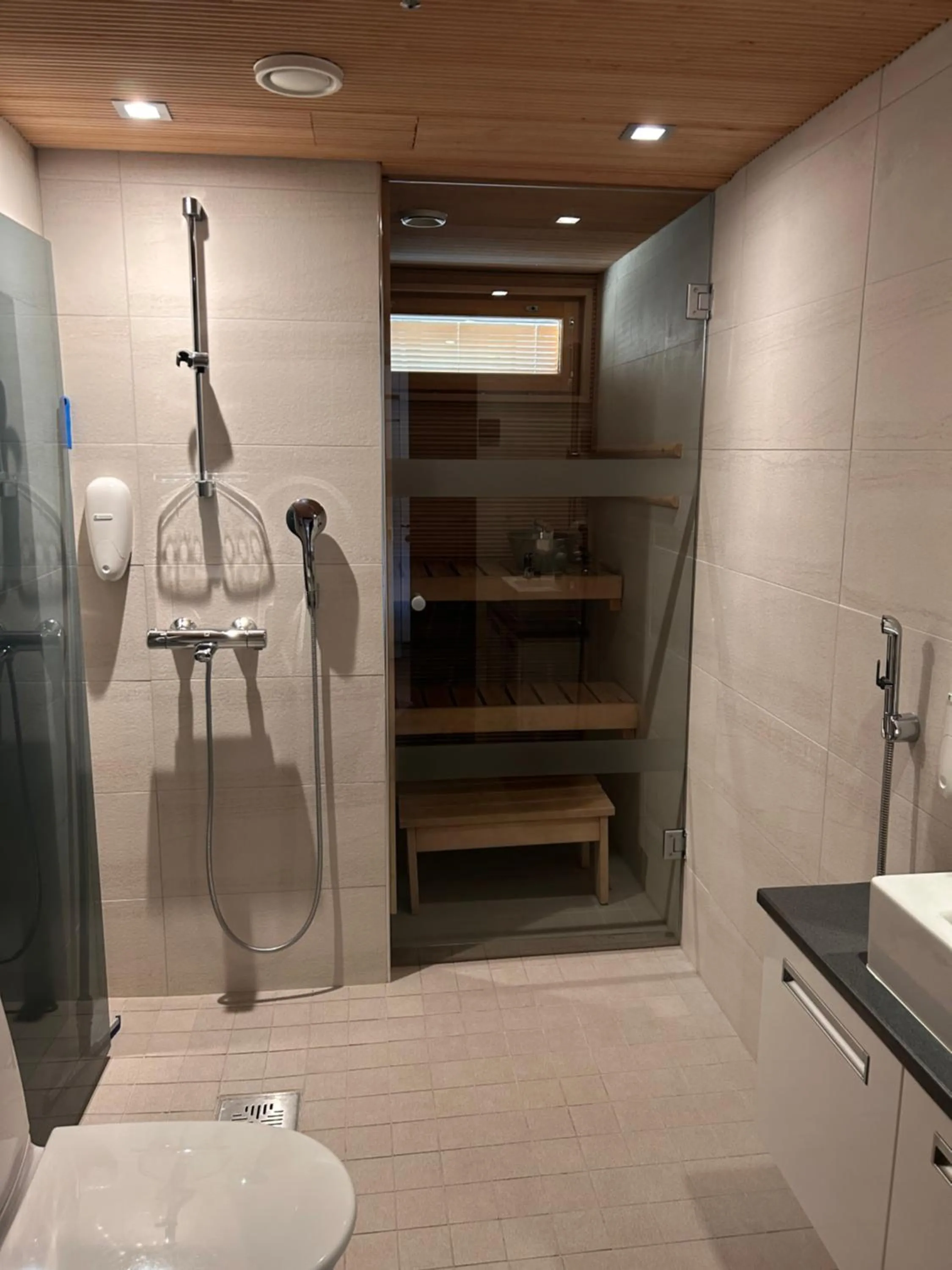 Shower in Levi Suites Levi Gold
