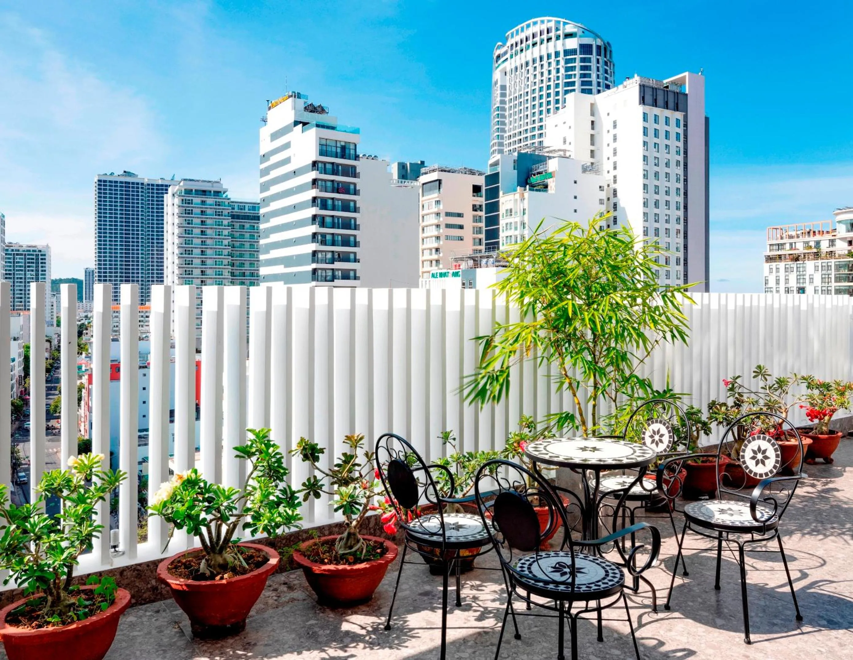 Garden in The Summer Hotel