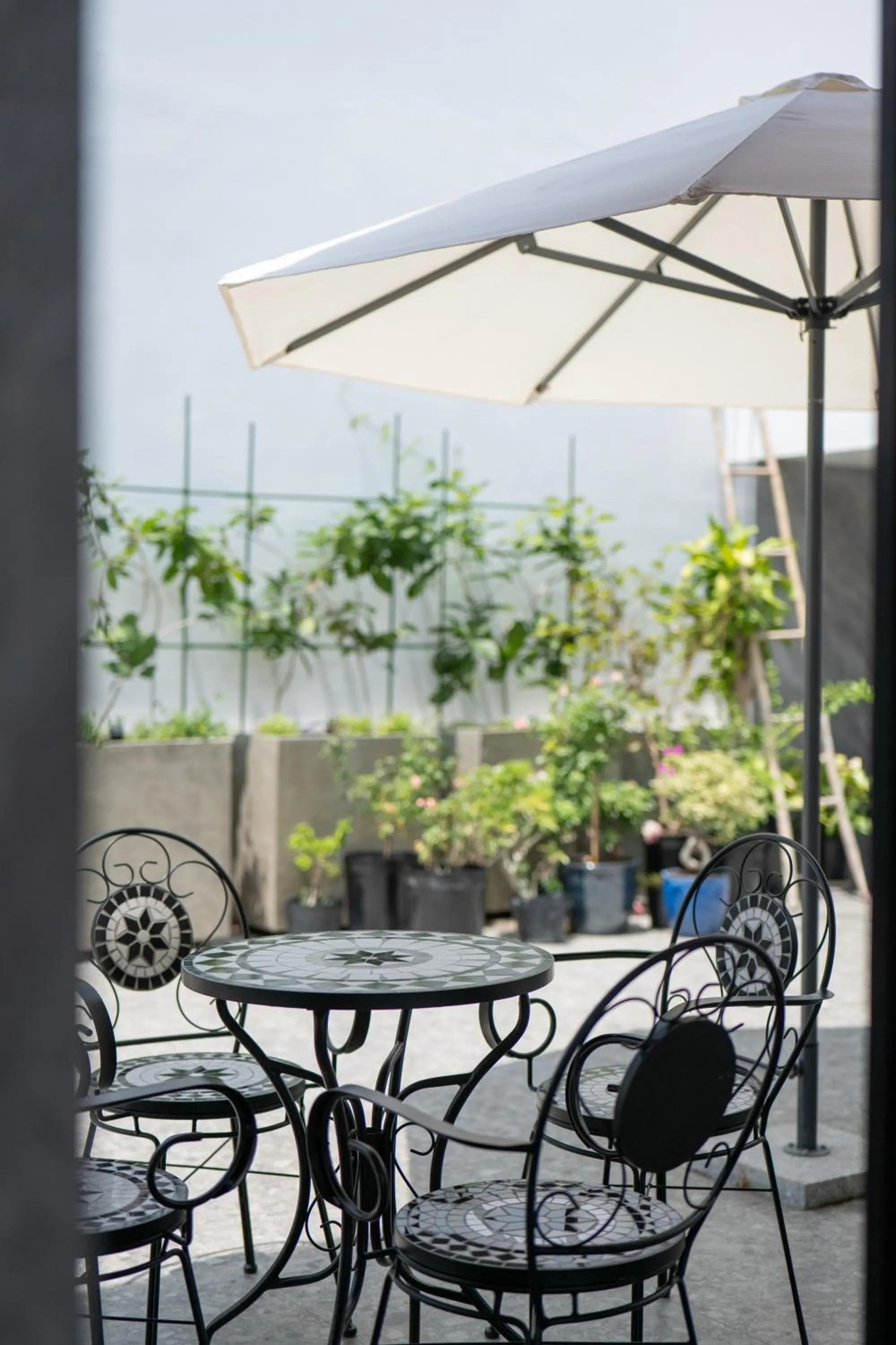 Garden in The Summer Hotel