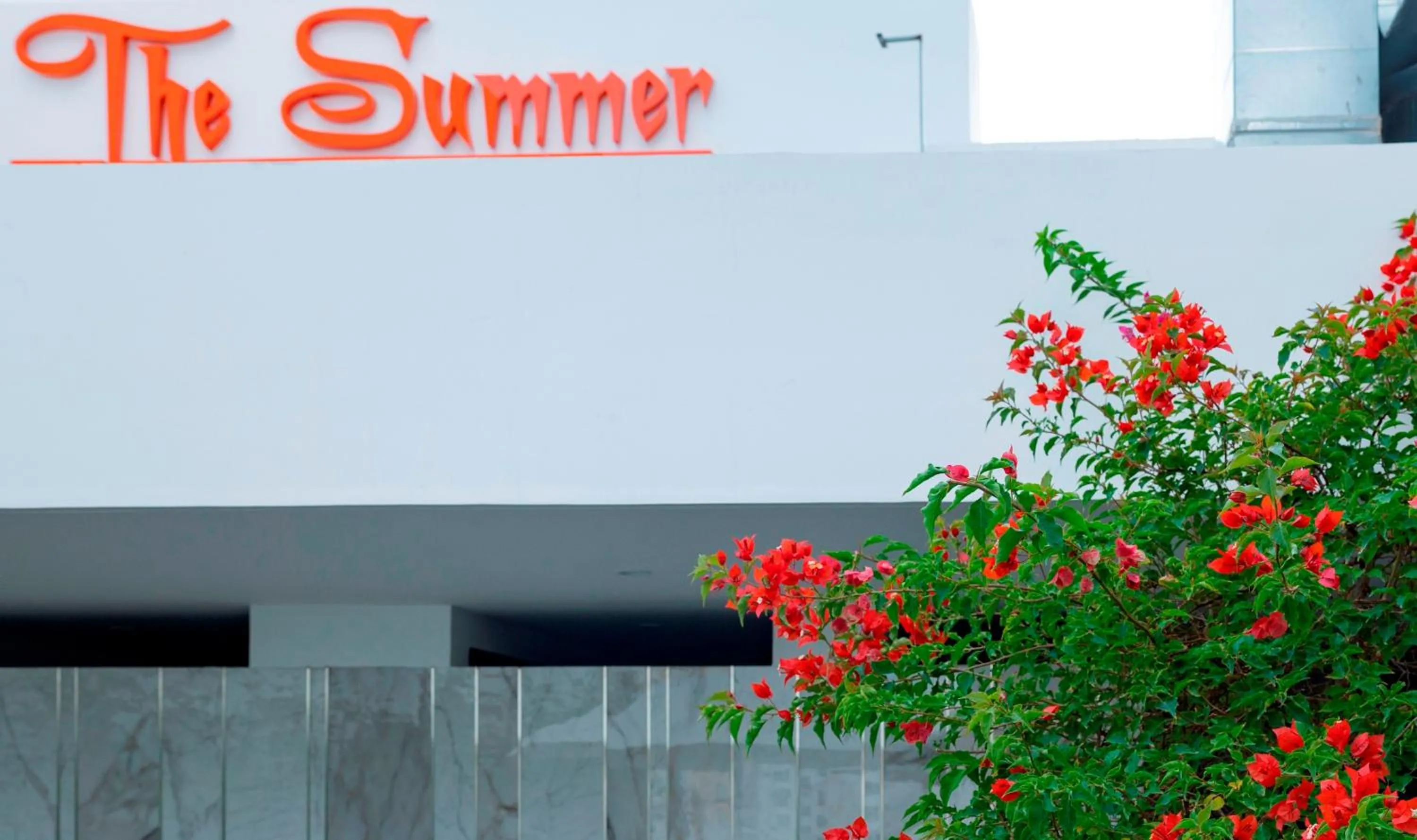 Garden in The Summer Hotel