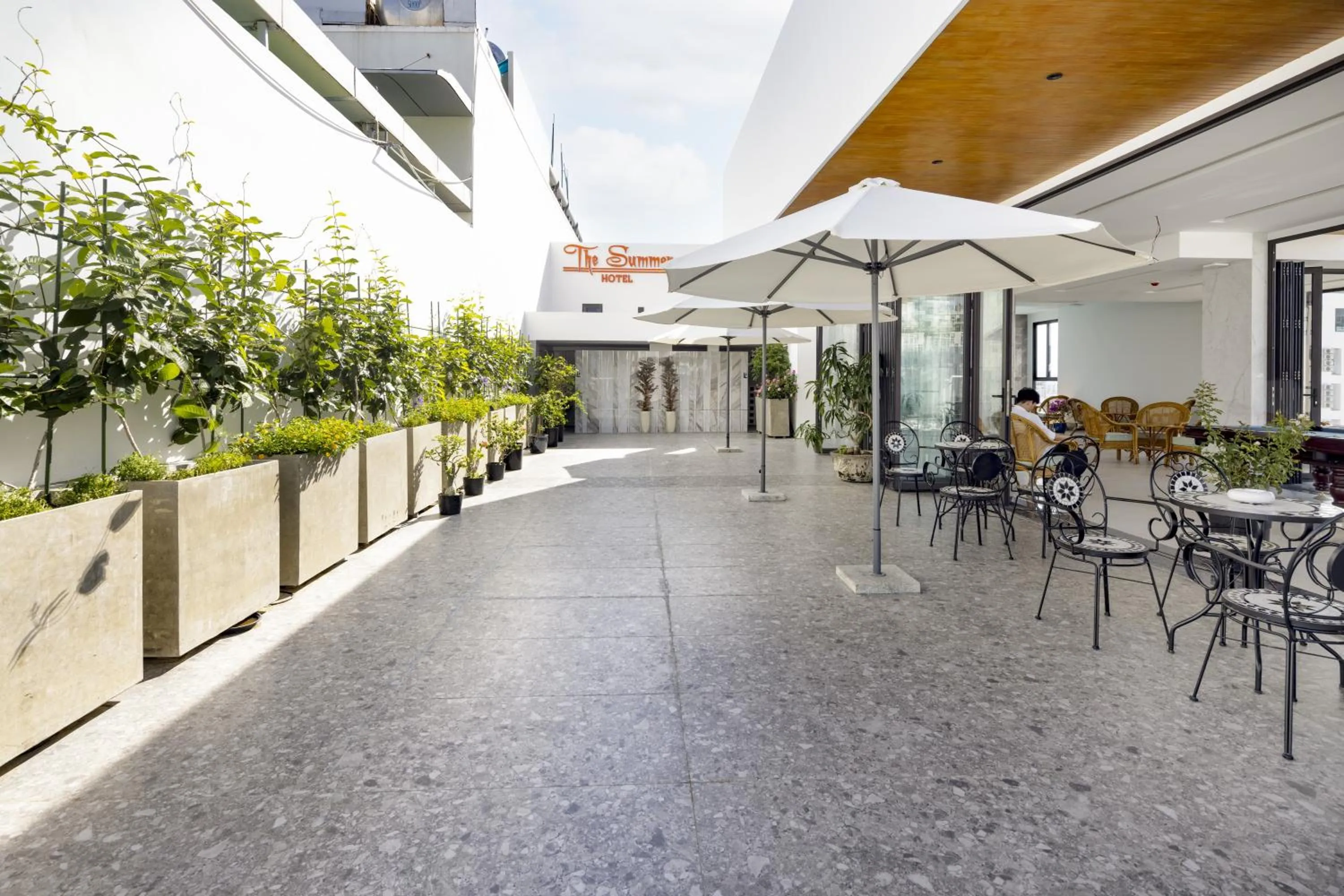 Garden in The Summer Hotel