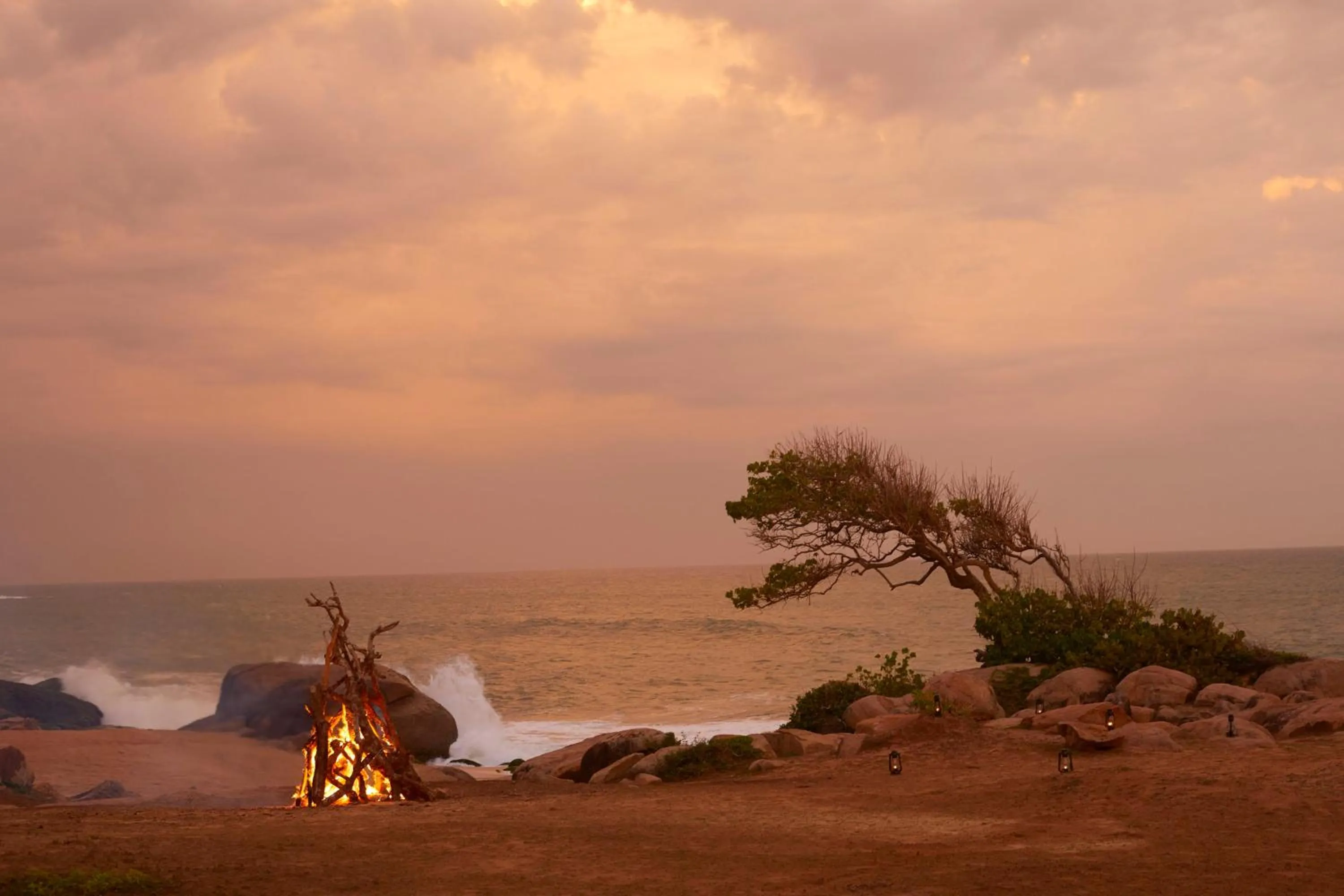 Garden in Wild Coast Tented Lodge - Relais and Chateaux - All Inclusive