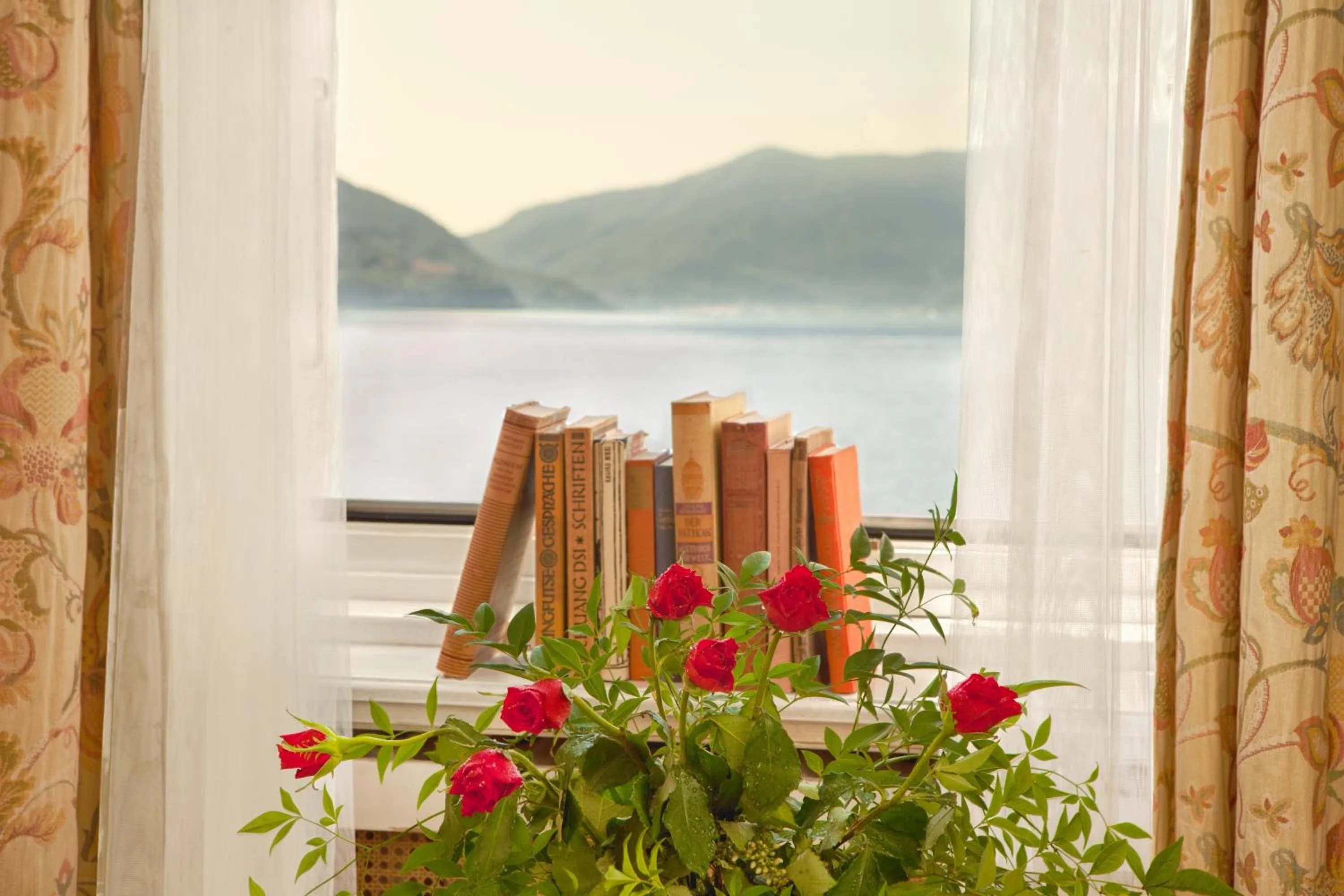 View (from property/room) in Hotel Tamaro