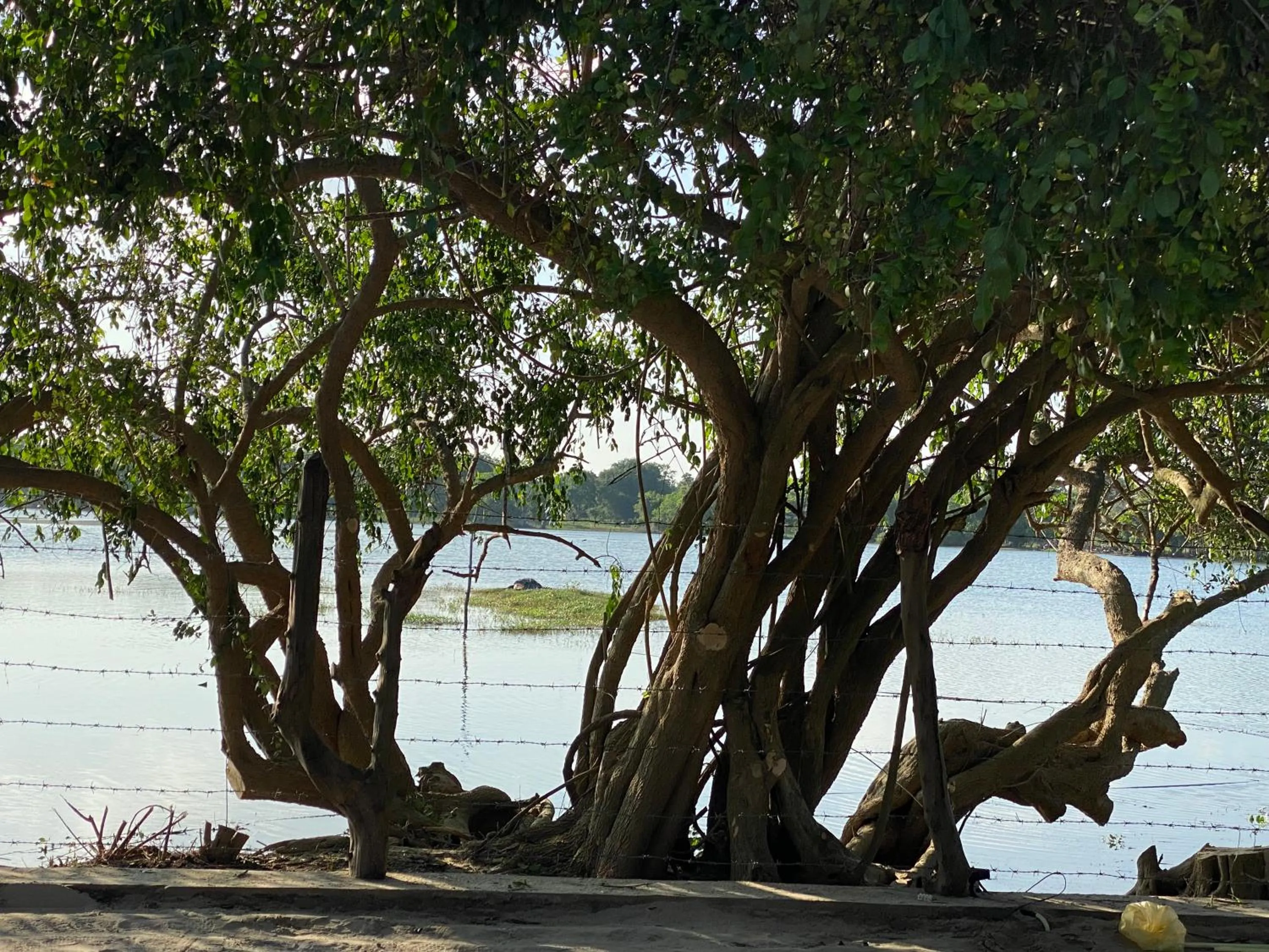 Natural landscape in Yala Lake View Cabanas