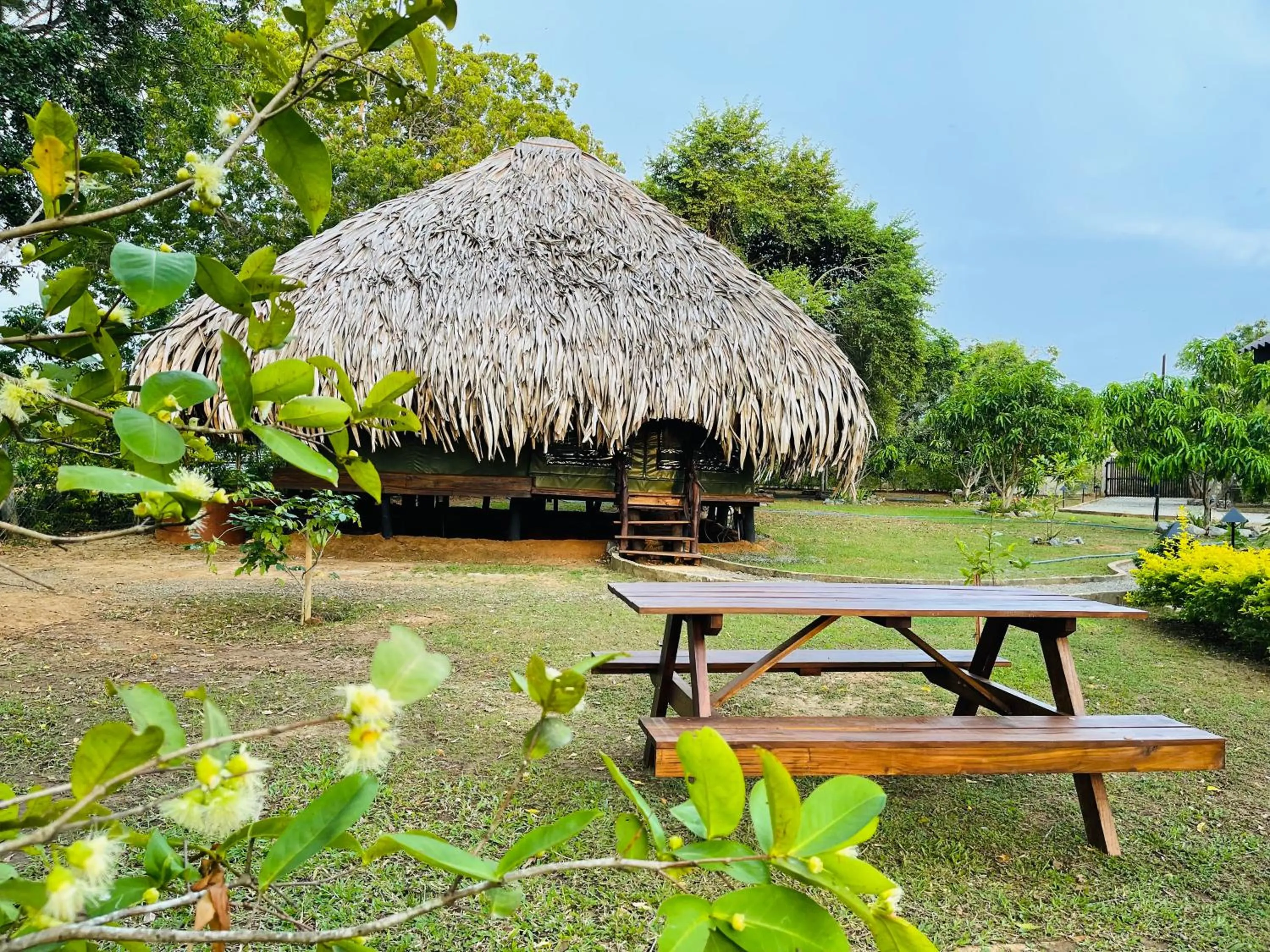 Day in Yala Lake View Cabanas