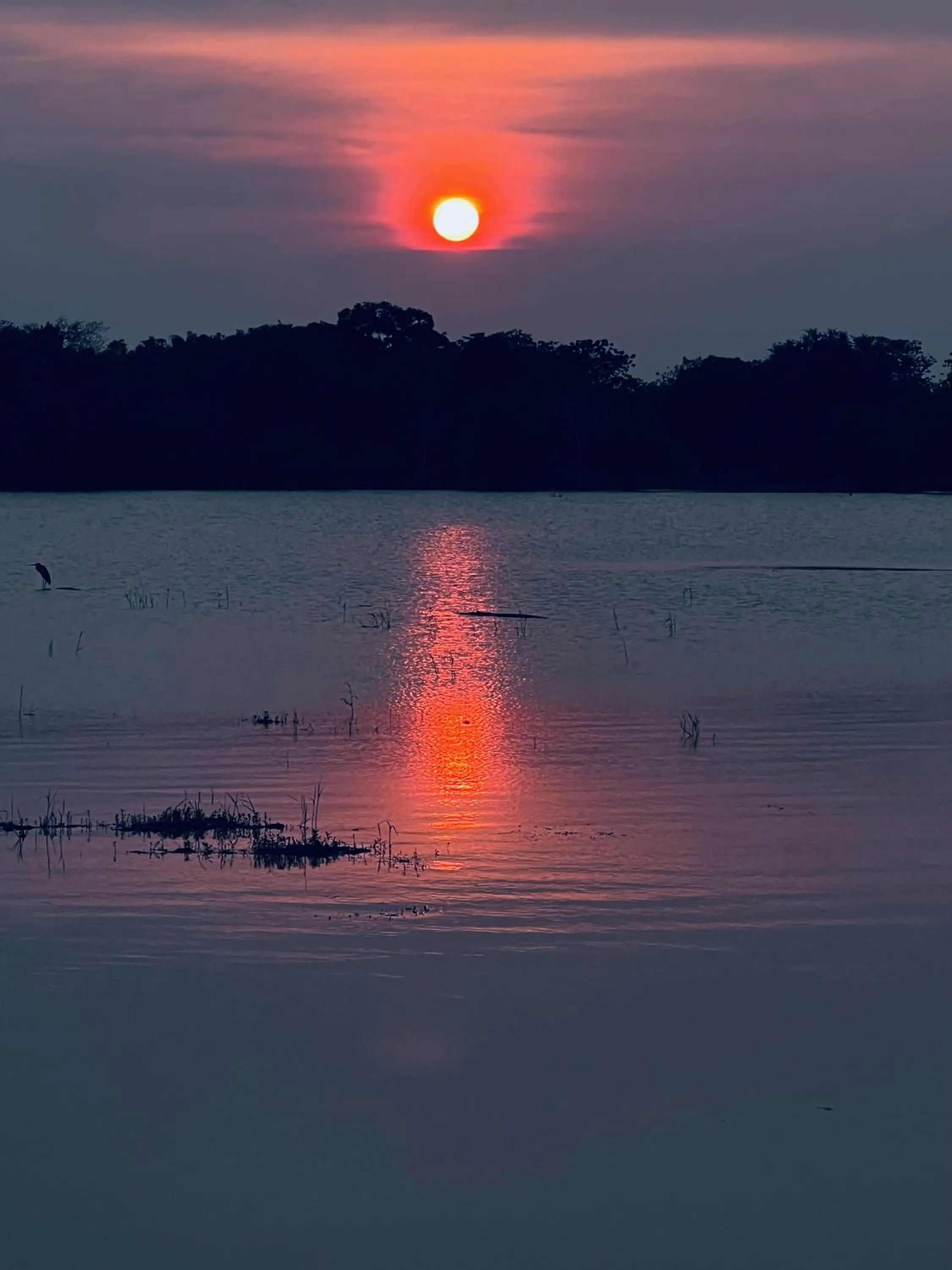 Lake view in Yala Lake View Cabanas