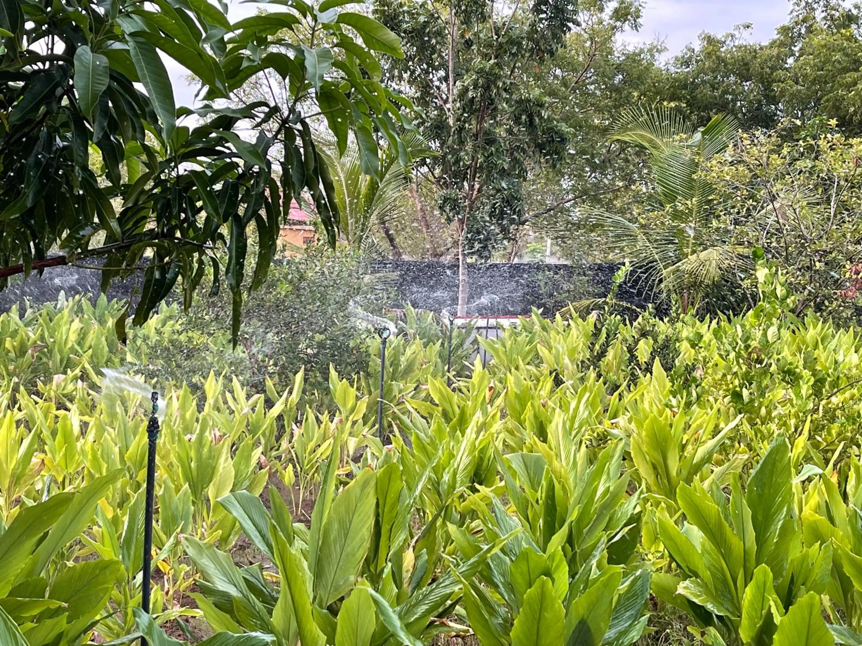 Garden in Yala Lake View Cabanas