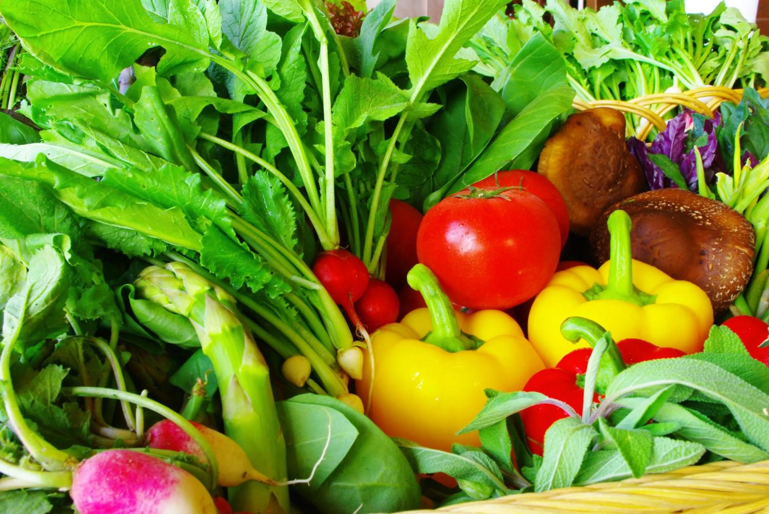 Restaurant/places to eat in Komagane Kogen Resort Linx