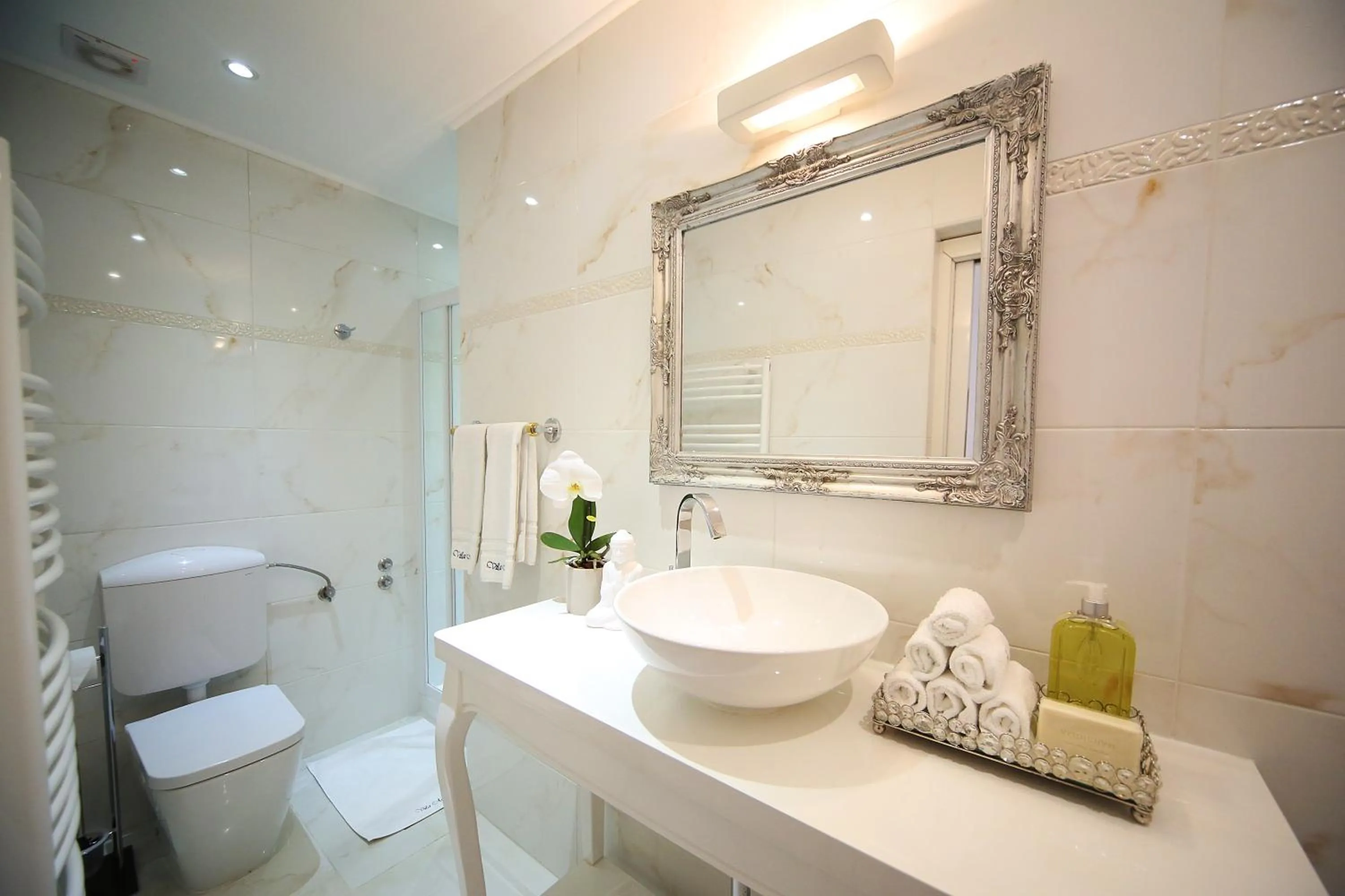 Shower in ApartHotel Vila Minka