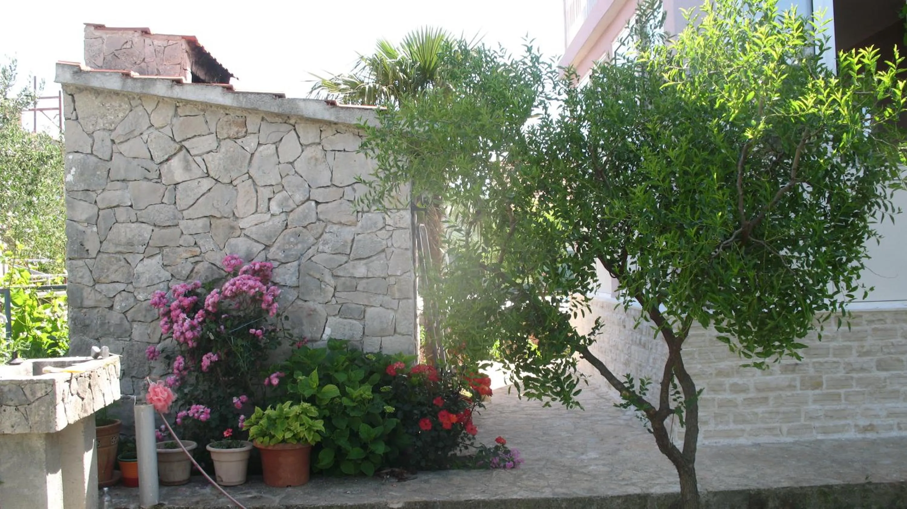 Garden in KrkaHaus