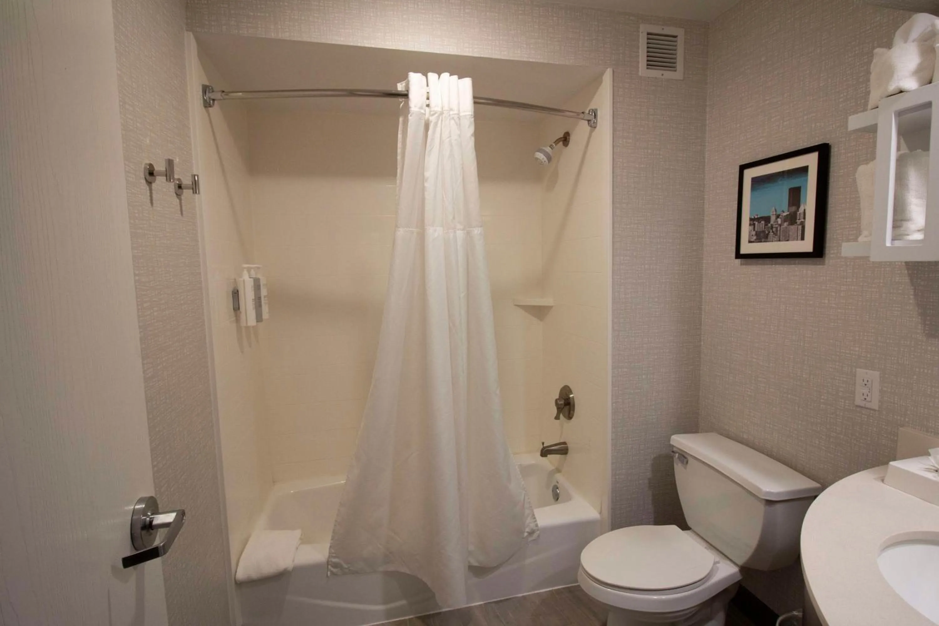 Bathroom in Hampton Inn Kent/Akron Area