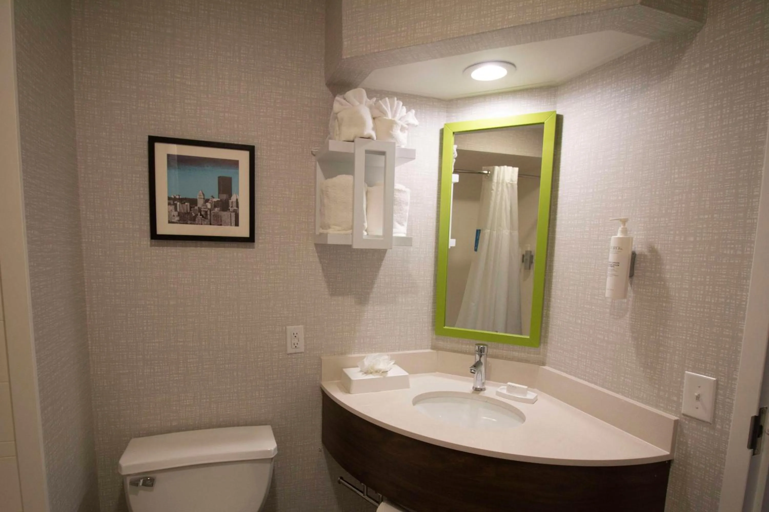 Bathroom in Hampton Inn Kent/Akron Area