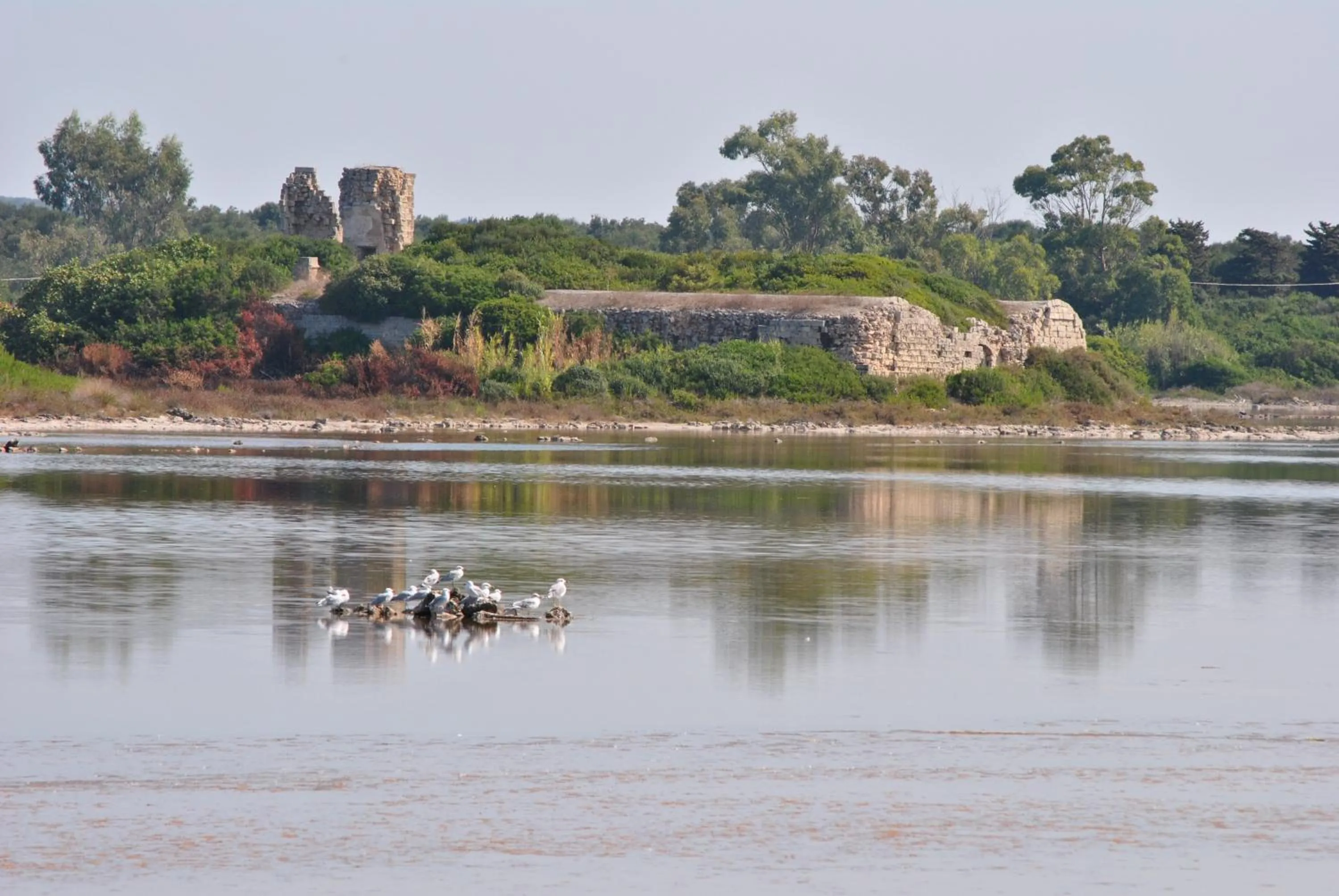 Natural landscape in Il melograno b&b