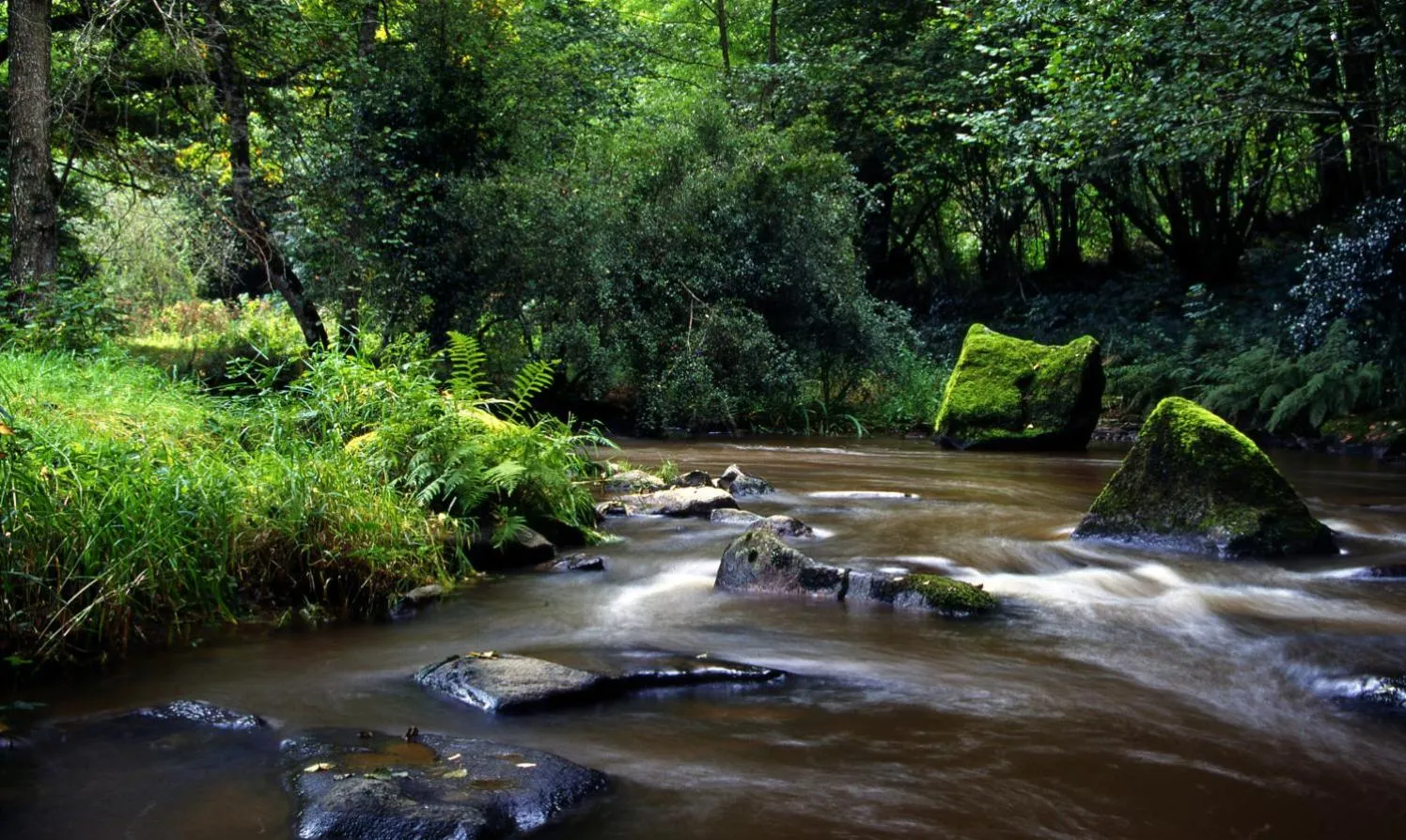 Canoeing in Logis Hotel Le Relais De La Poste Restaurant Le Fil du Temps