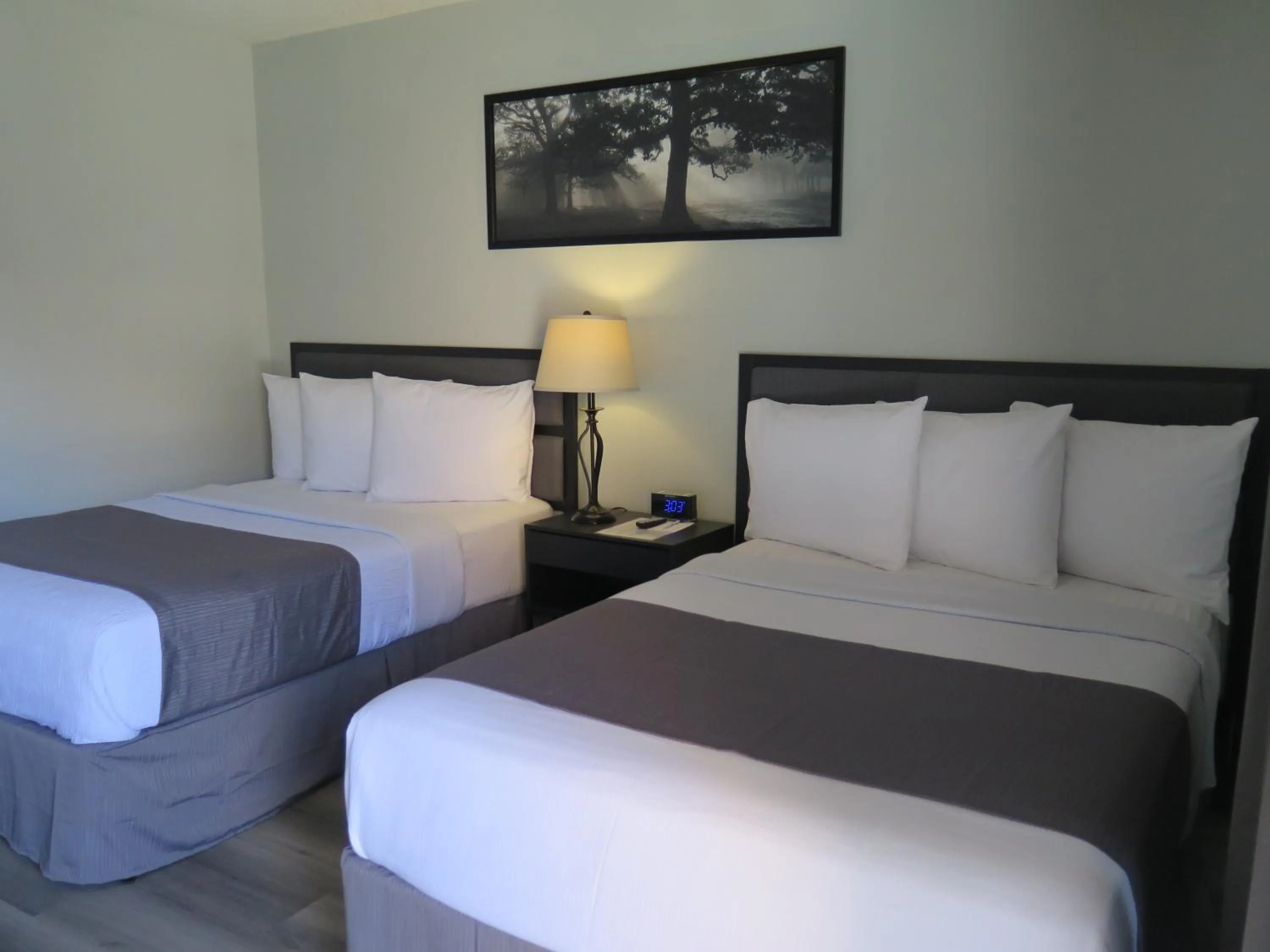 Photo of the whole room, Bed in DTLA Hotel