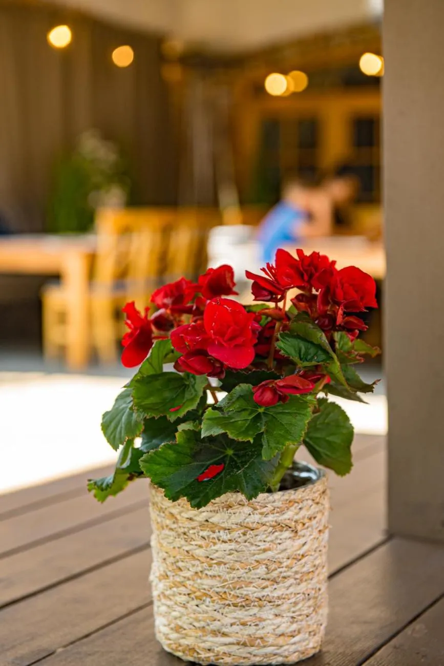 Restaurant/places to eat in Porto Resort