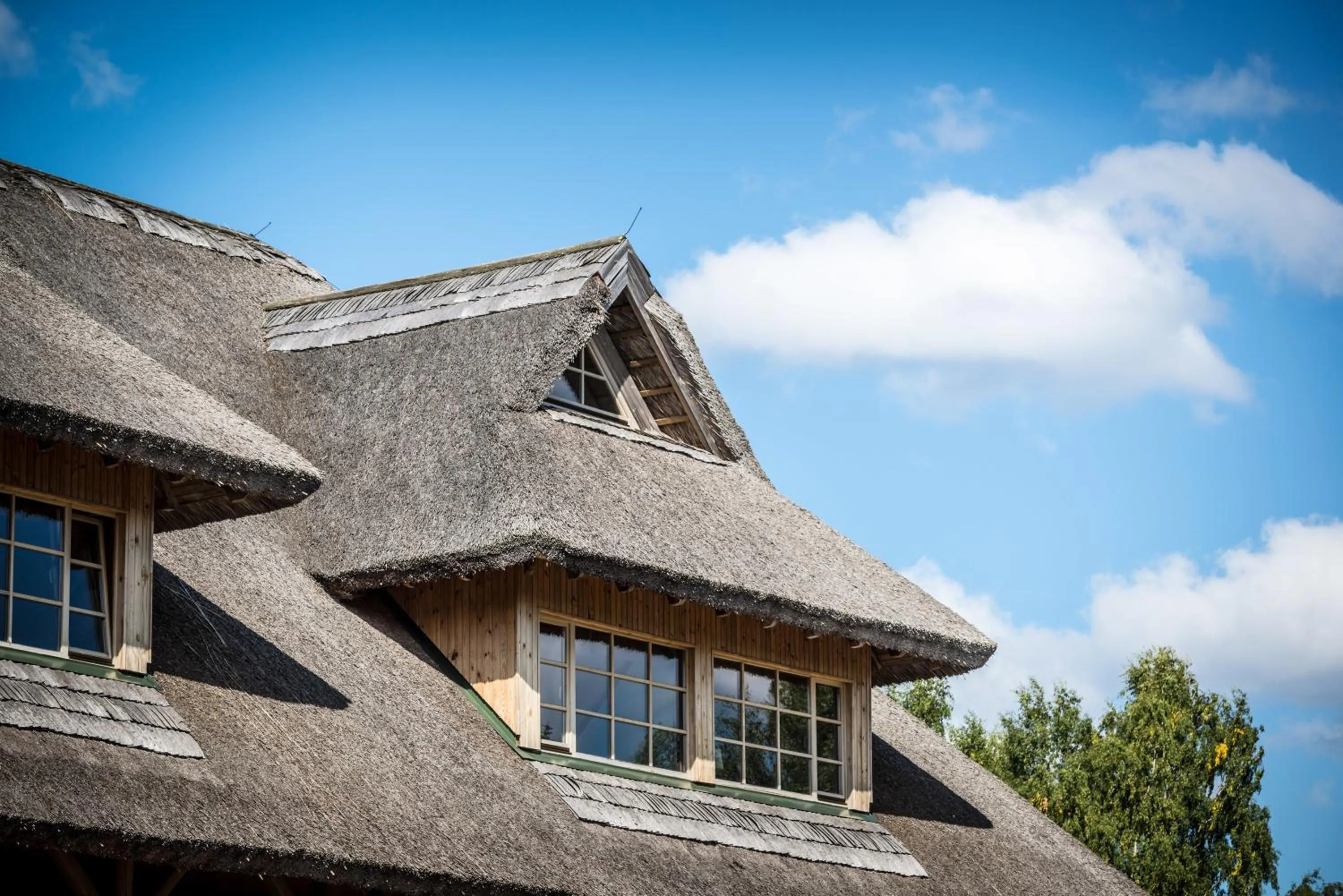 View (from property/room) in Porto Resort