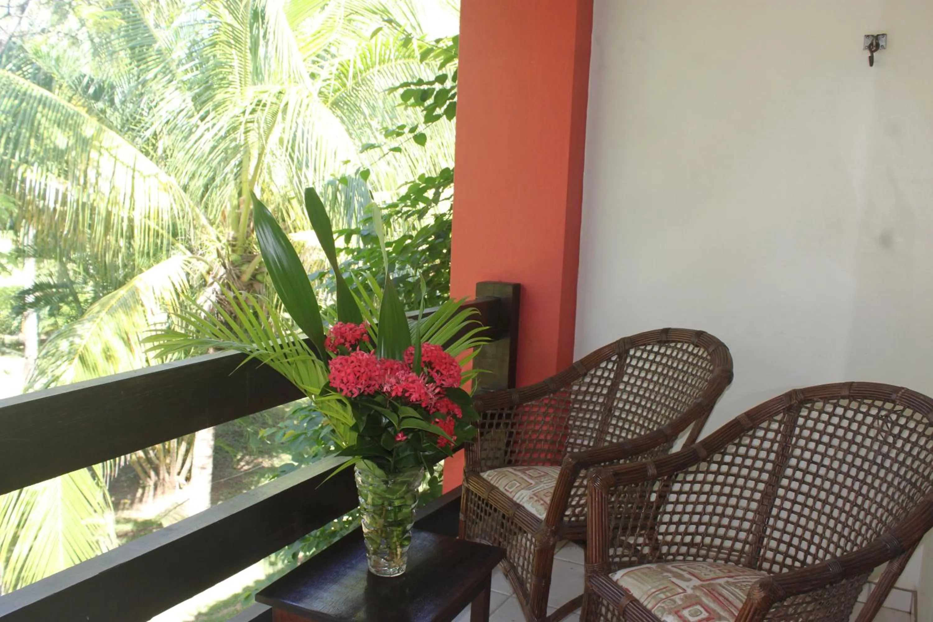 Day in Porto Zarpa Hotel