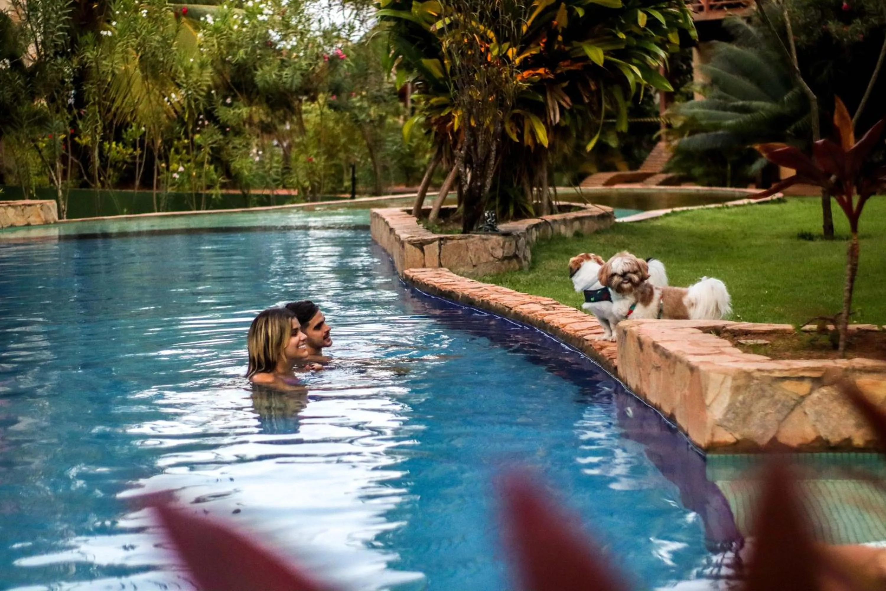 Swimming pool in Domus Villas