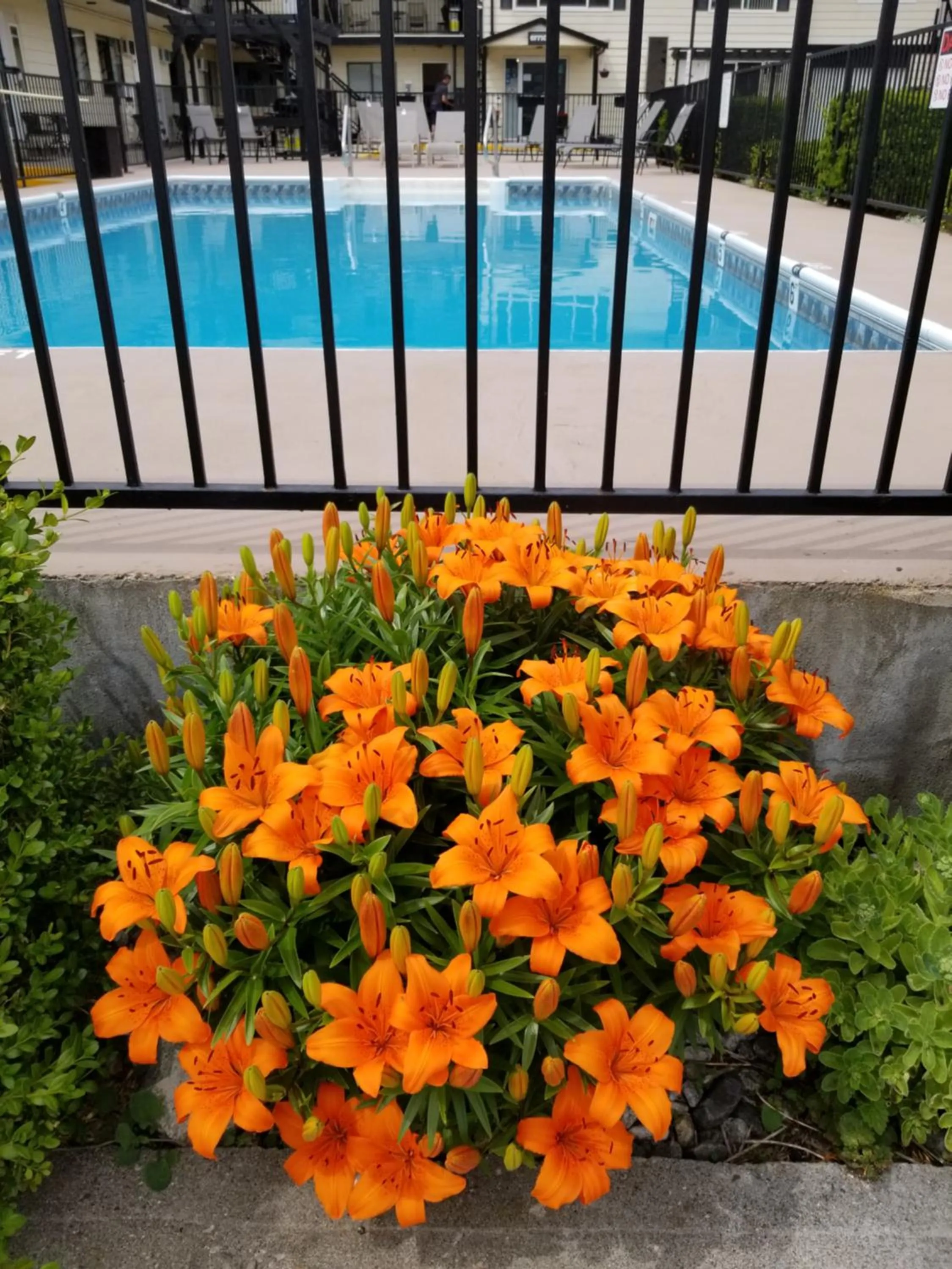 Garden in Osoyoos Lakeview Inn & Suites